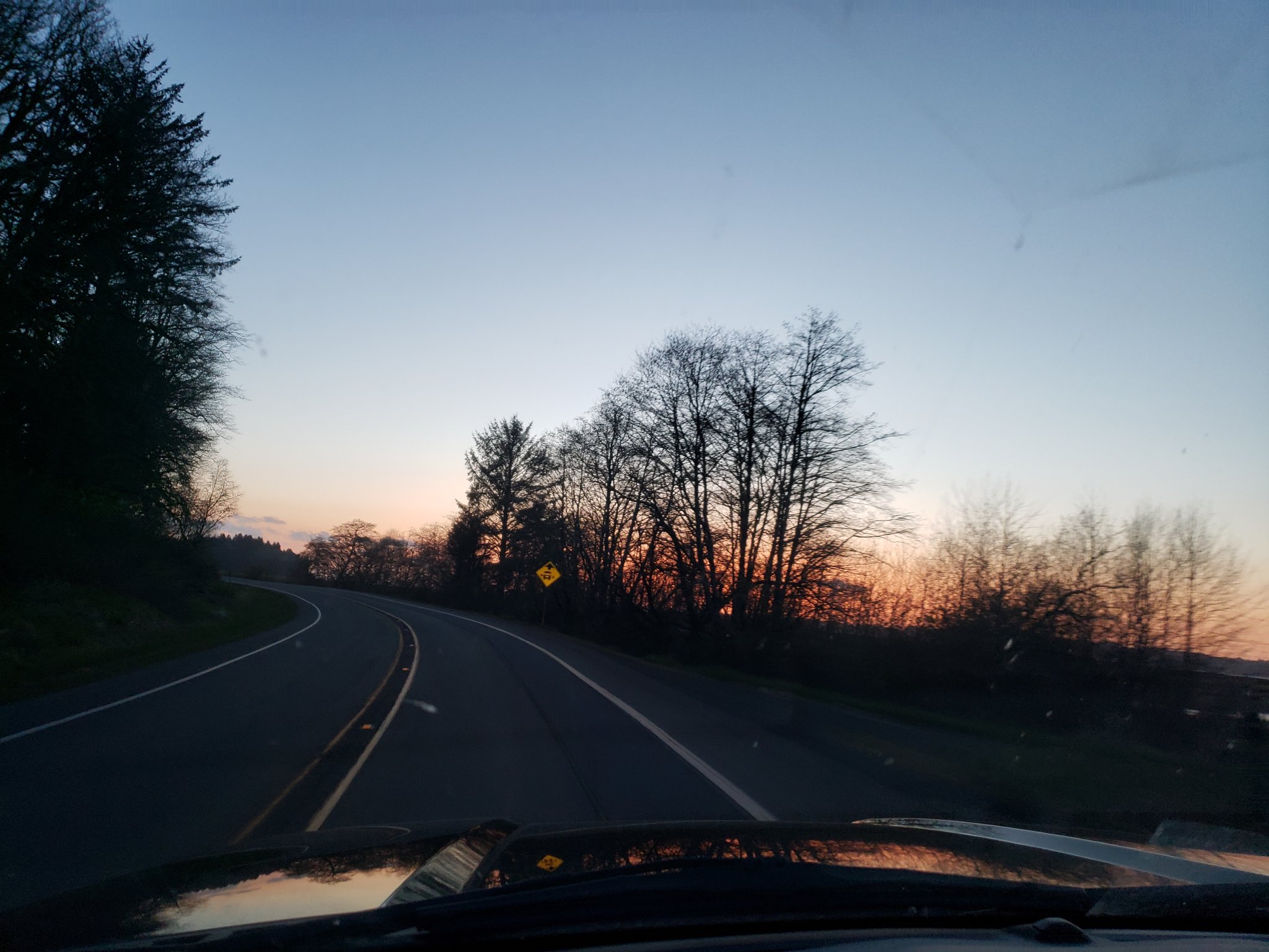 20210404_200107.jpg