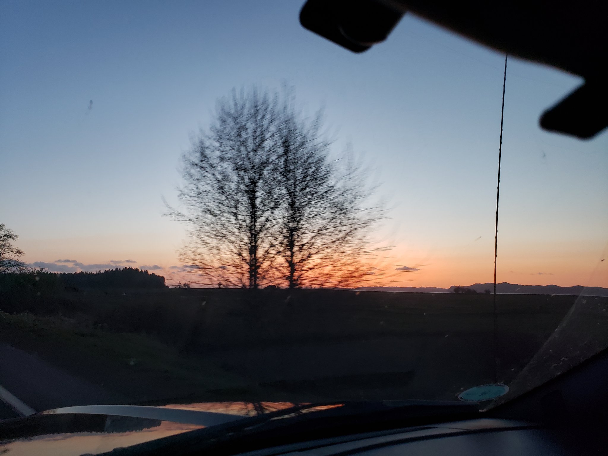 20210404_200117.jpg
