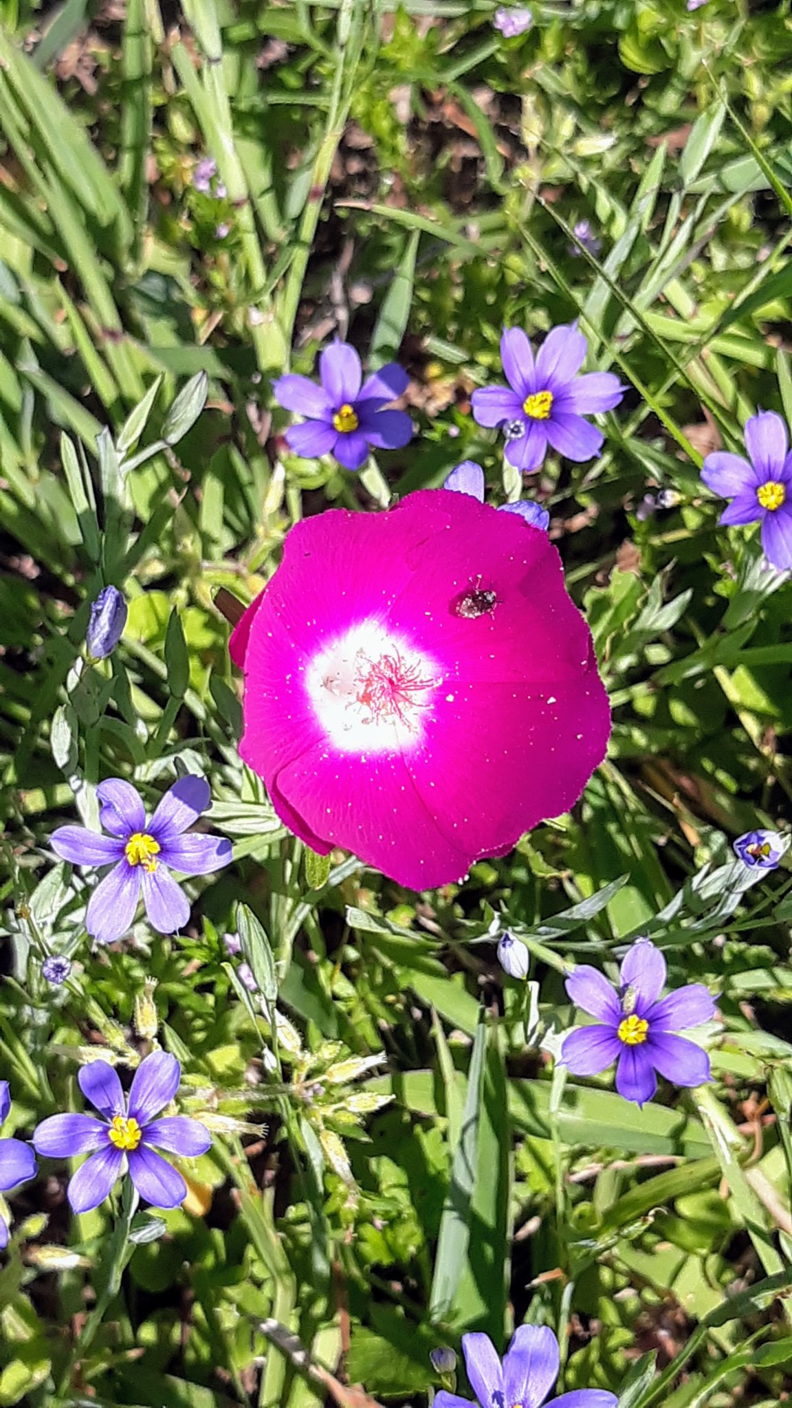 20210410_155246.jpg