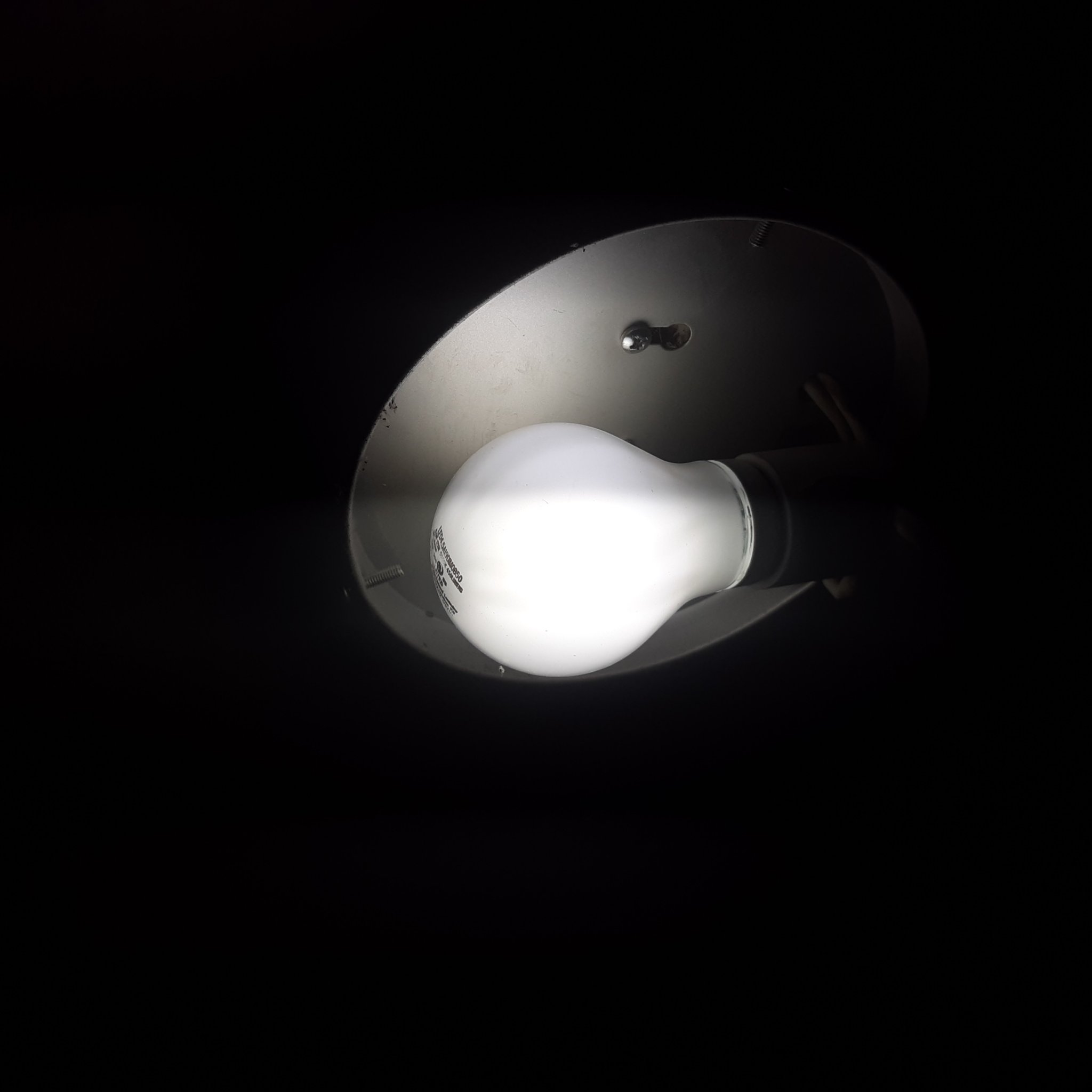 20210414_045102.jpg