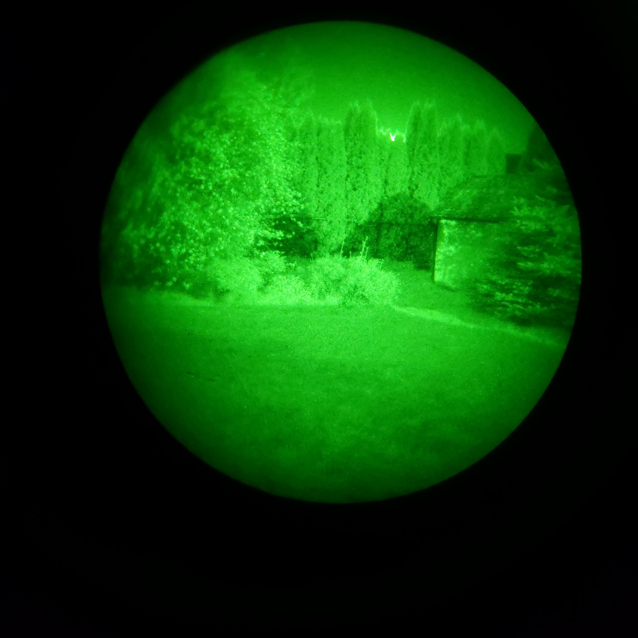20210419_211150_03.jpg