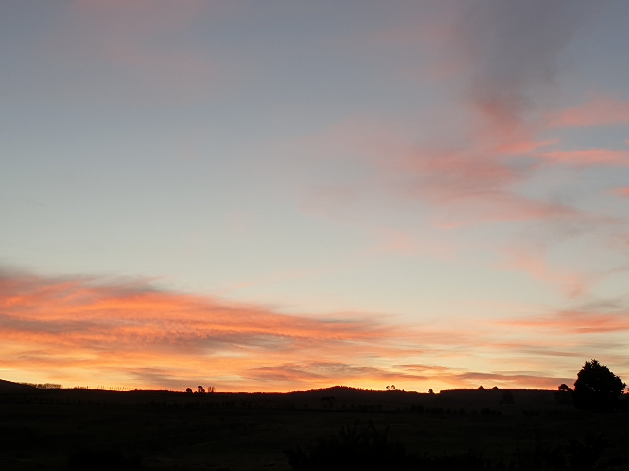 20210602_171337.jpg