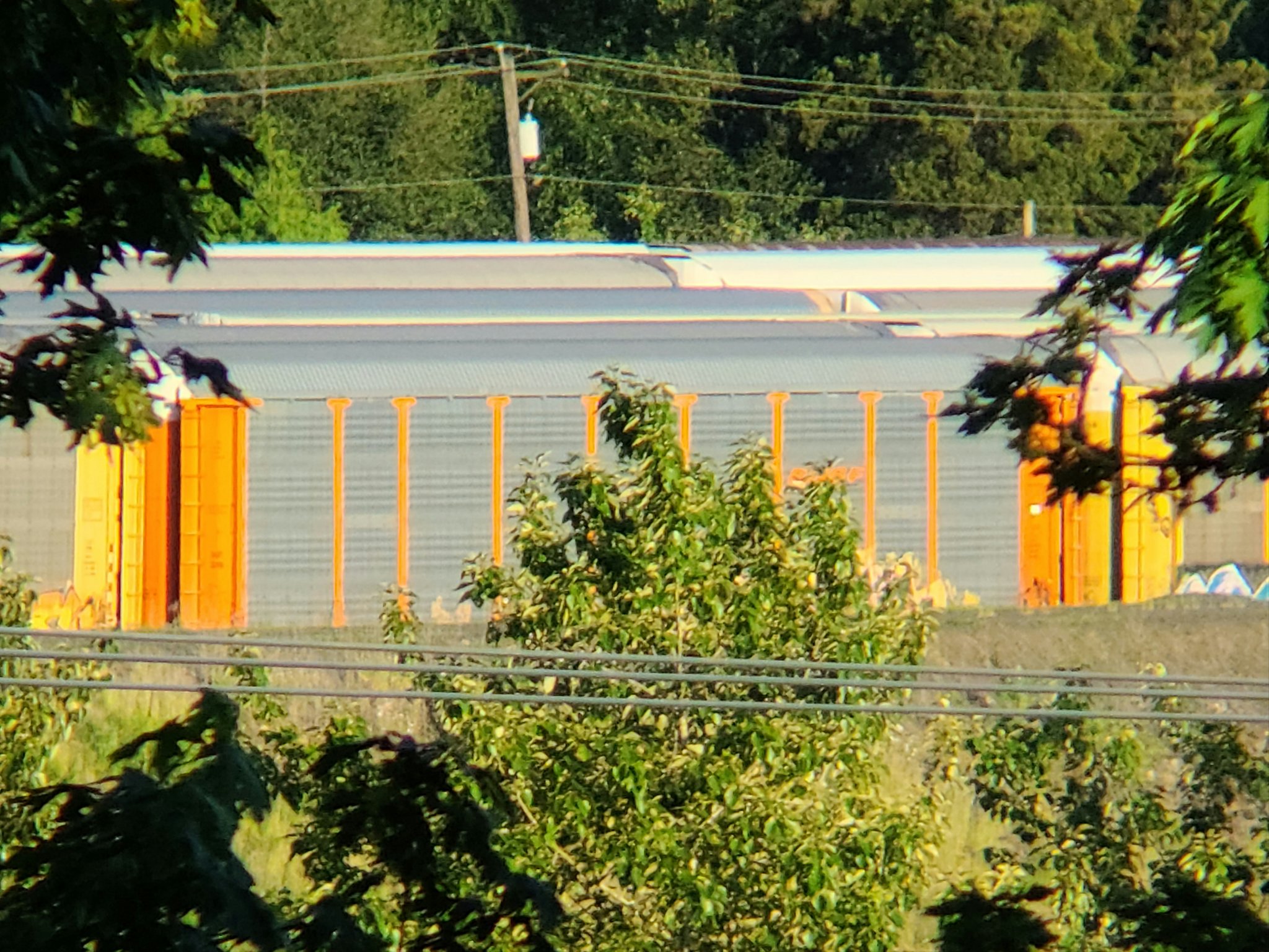 20210605_194618.jpg