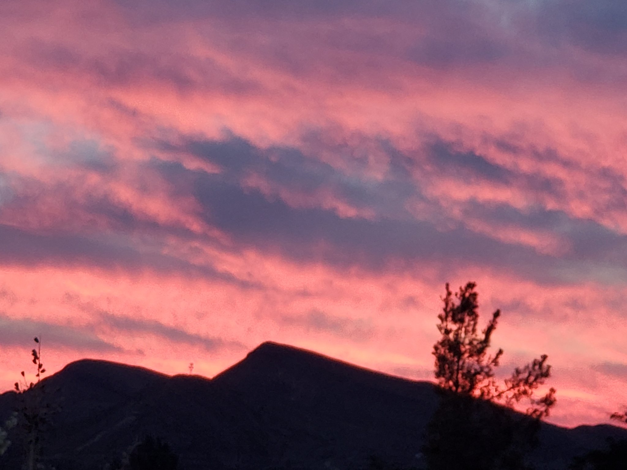 20210610_203339.jpg