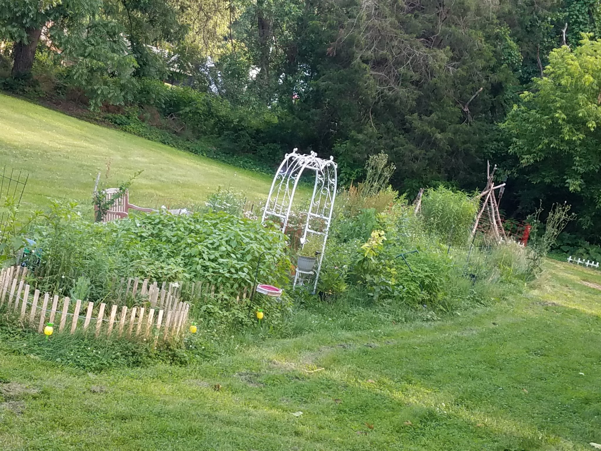 20210622_185333.jpg