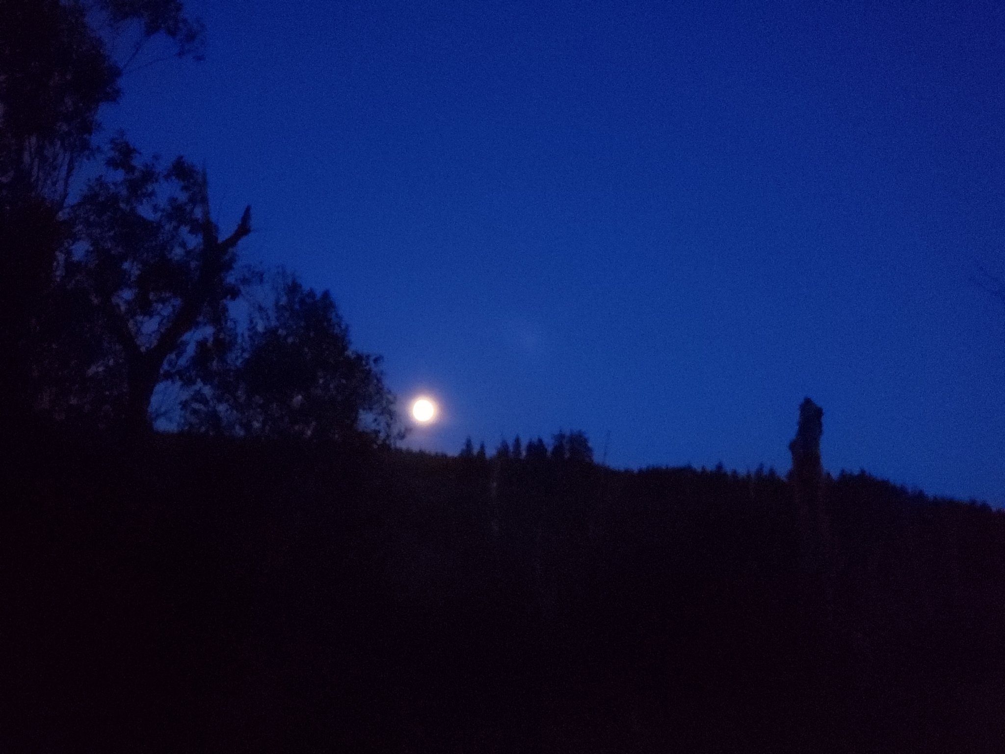 20210722_213613.jpg
