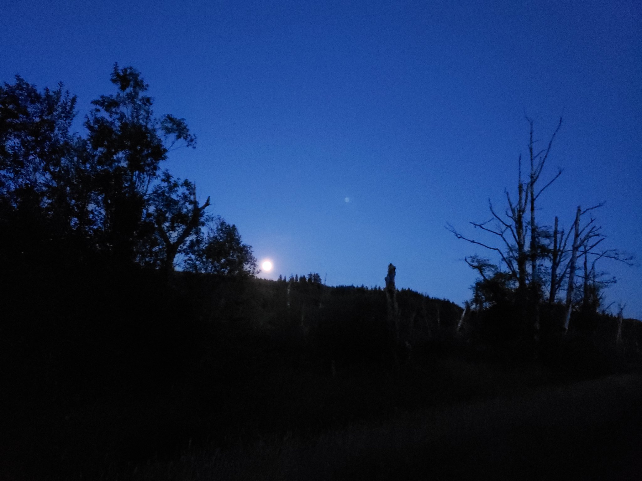 20210722_213643.jpg