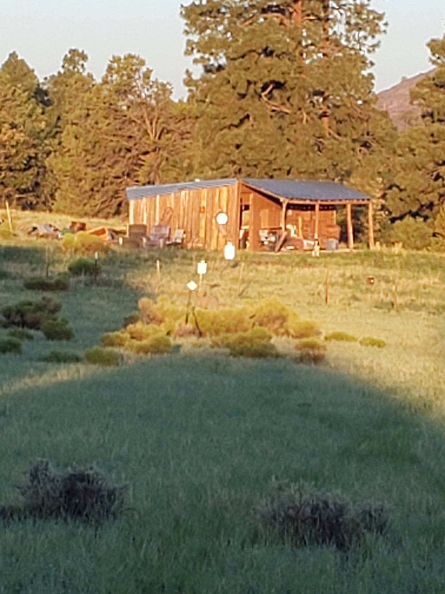 20210727_055342.jpg
