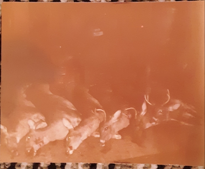 20210807_202230.jpg