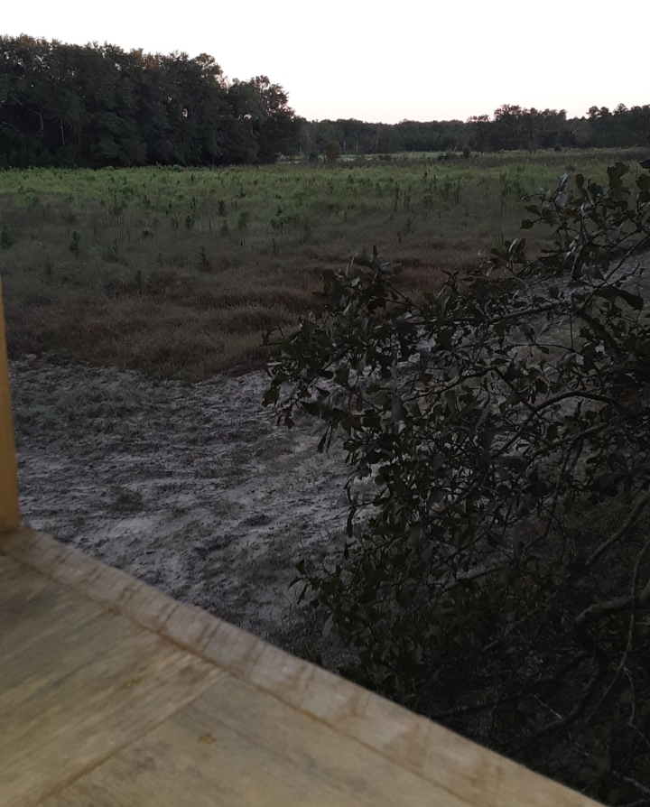 20210924_072134.jpg