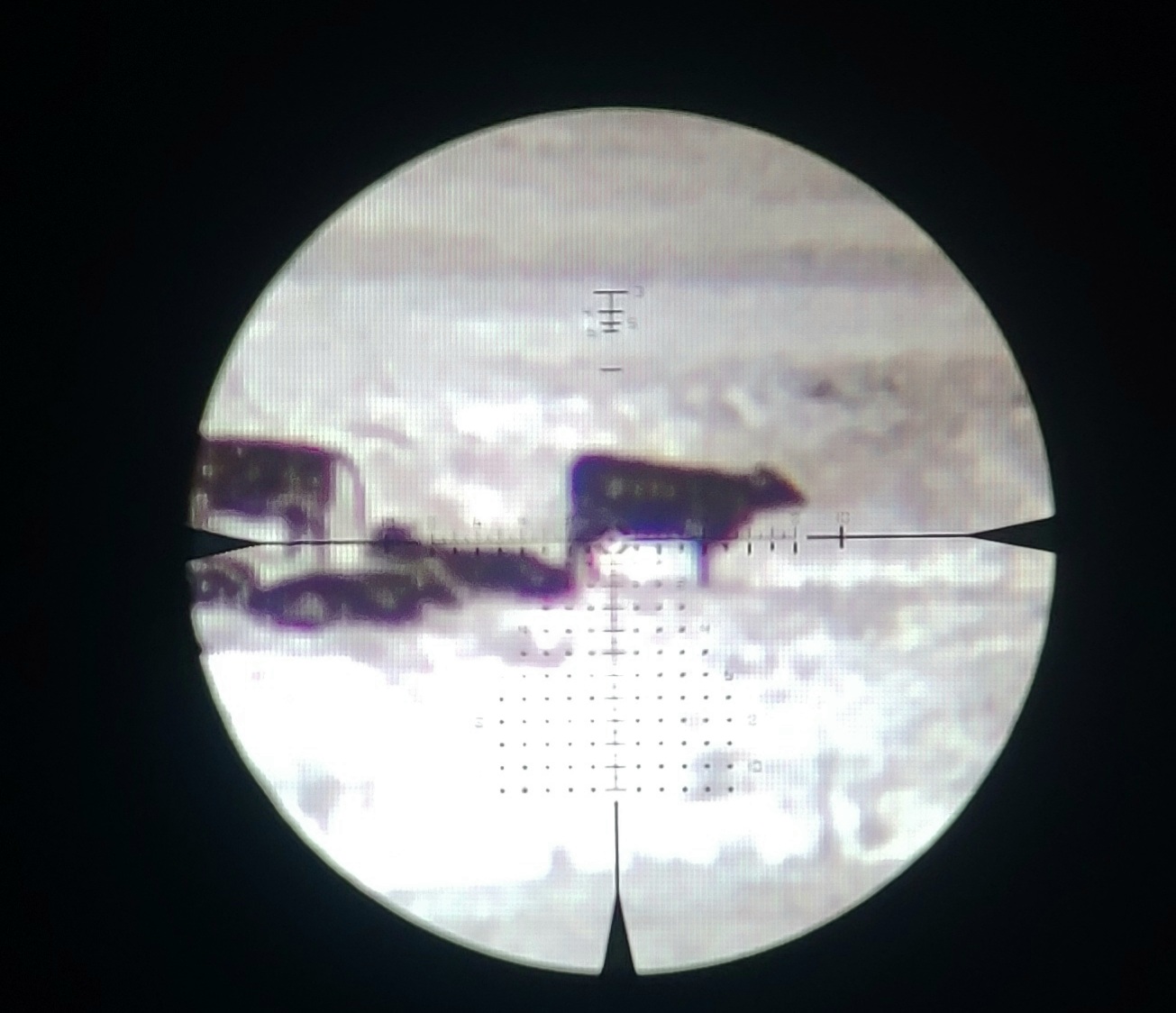 20211003_222134.jpg