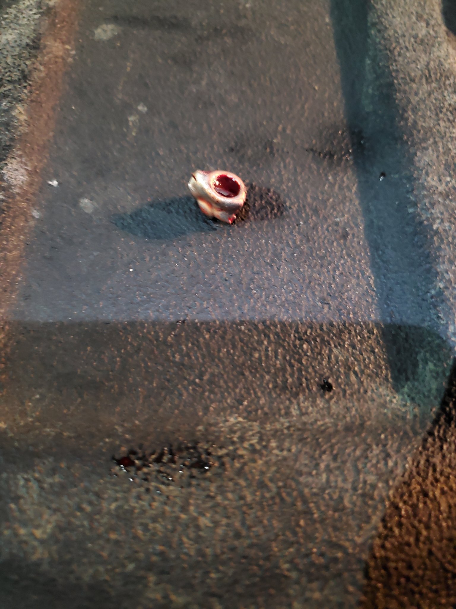 20211019_232056.jpg