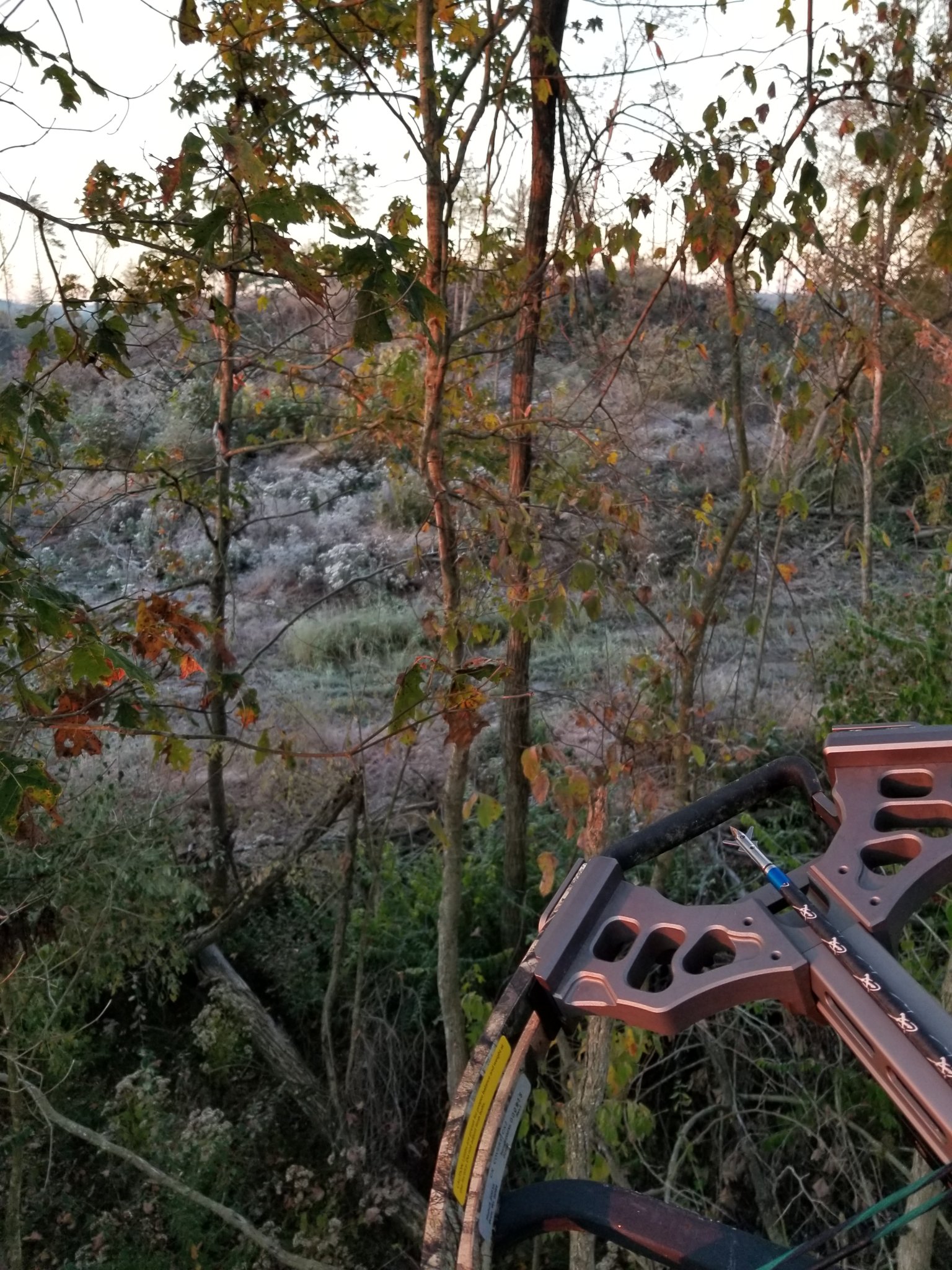 20211106_072417.jpg