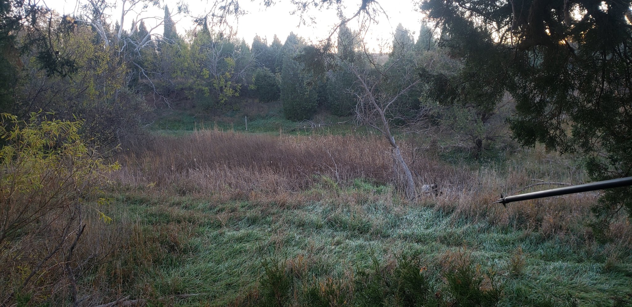 20211108_072347.jpg