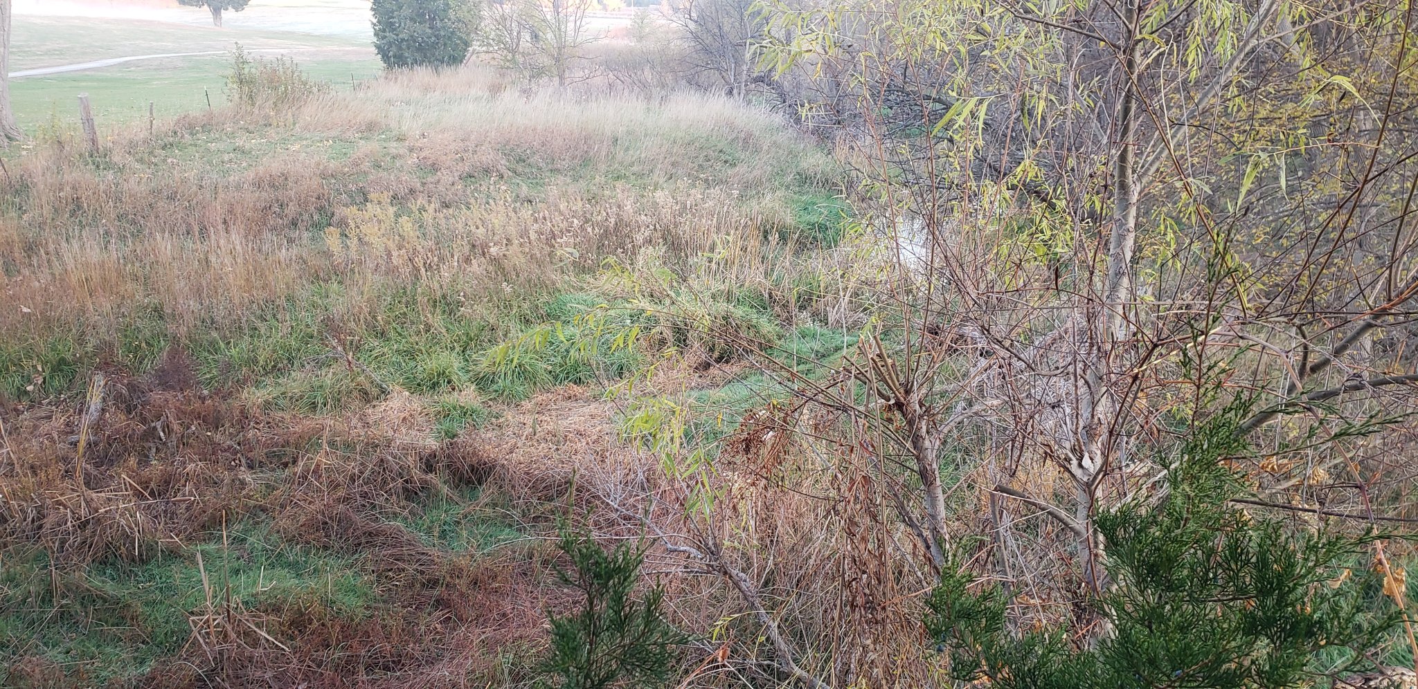 20211108_072402.jpg