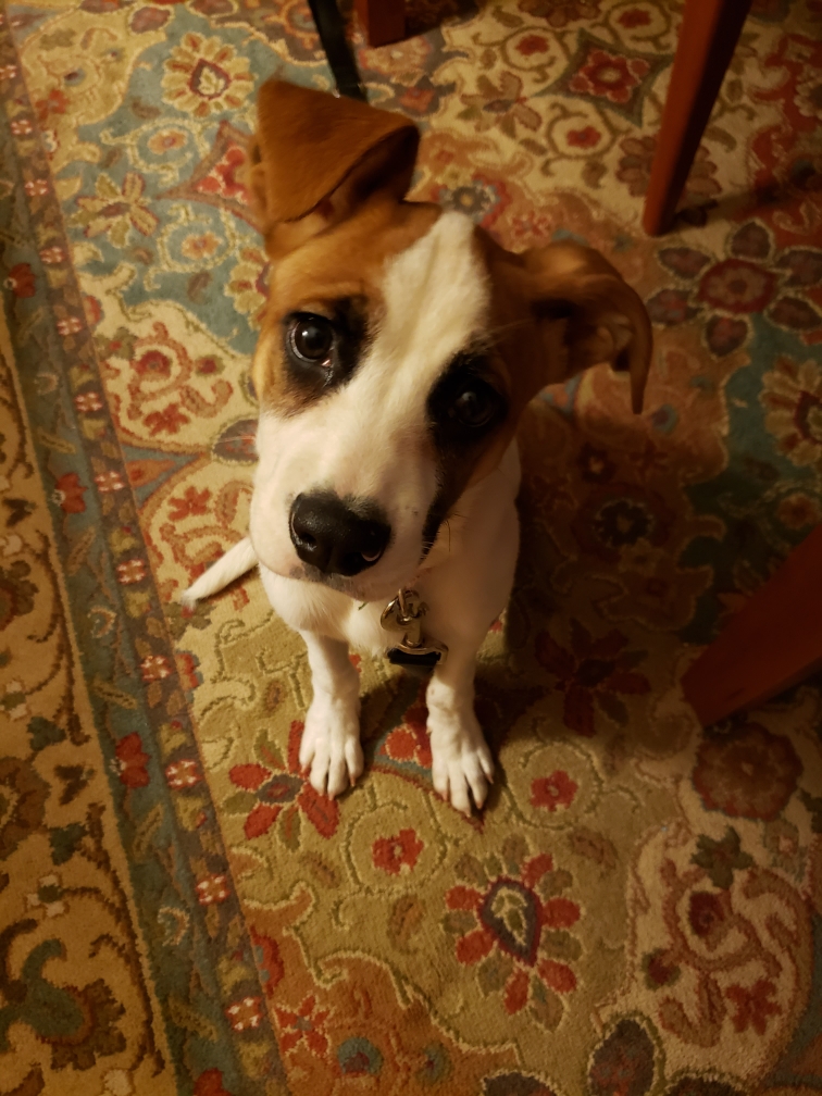20211109_173539.jpg