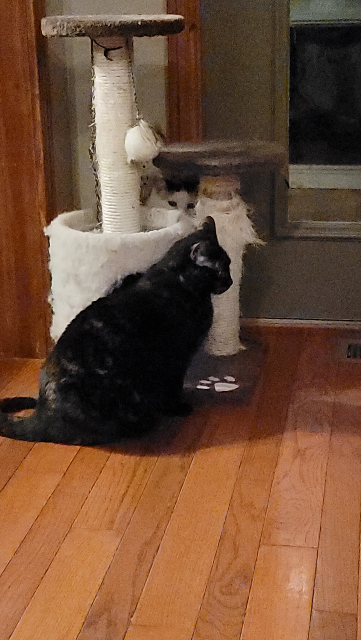 20211113_204914.jpg