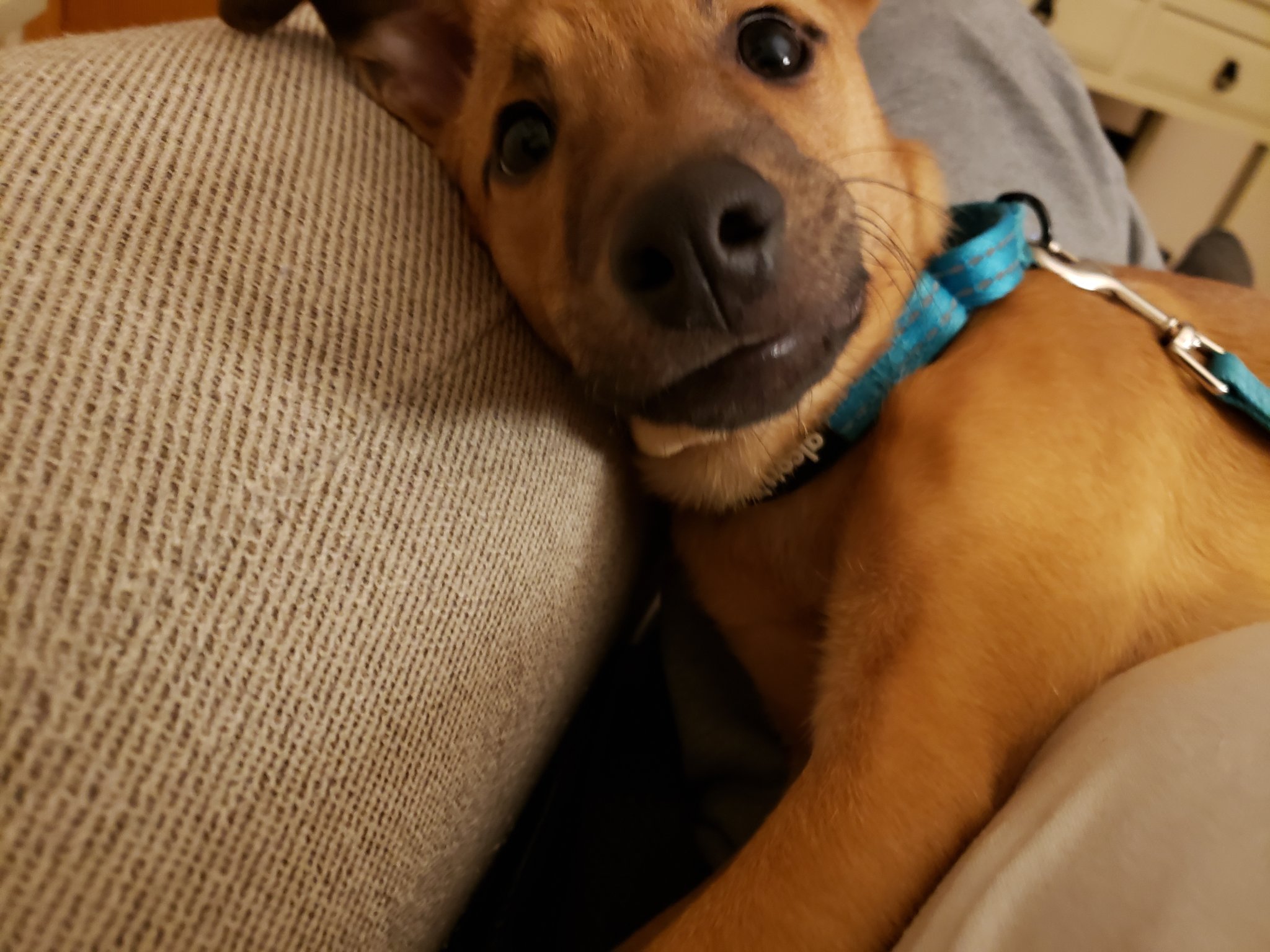 20211122_194439.jpg