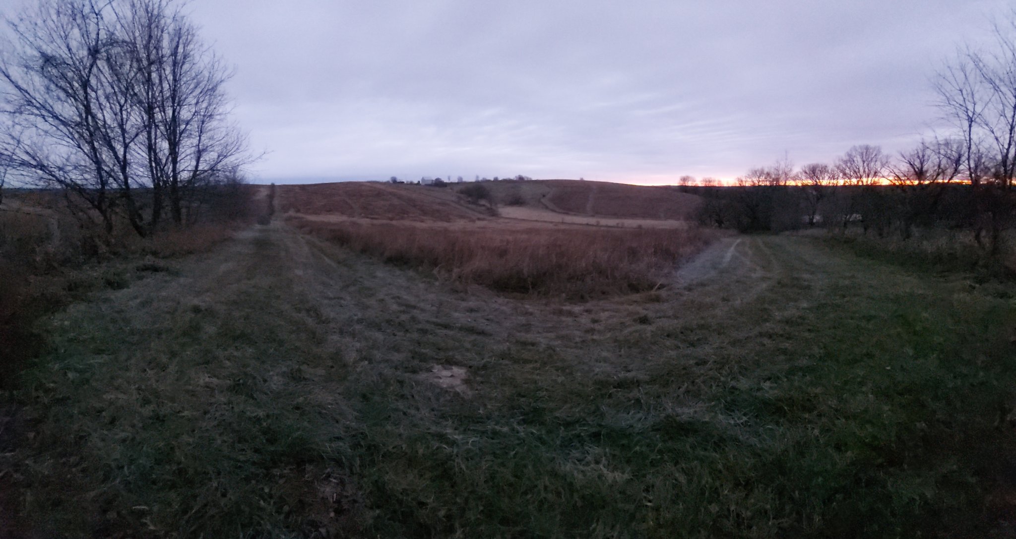 20211204_070350.jpg