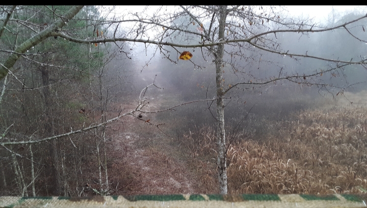 20211218_075613.jpg