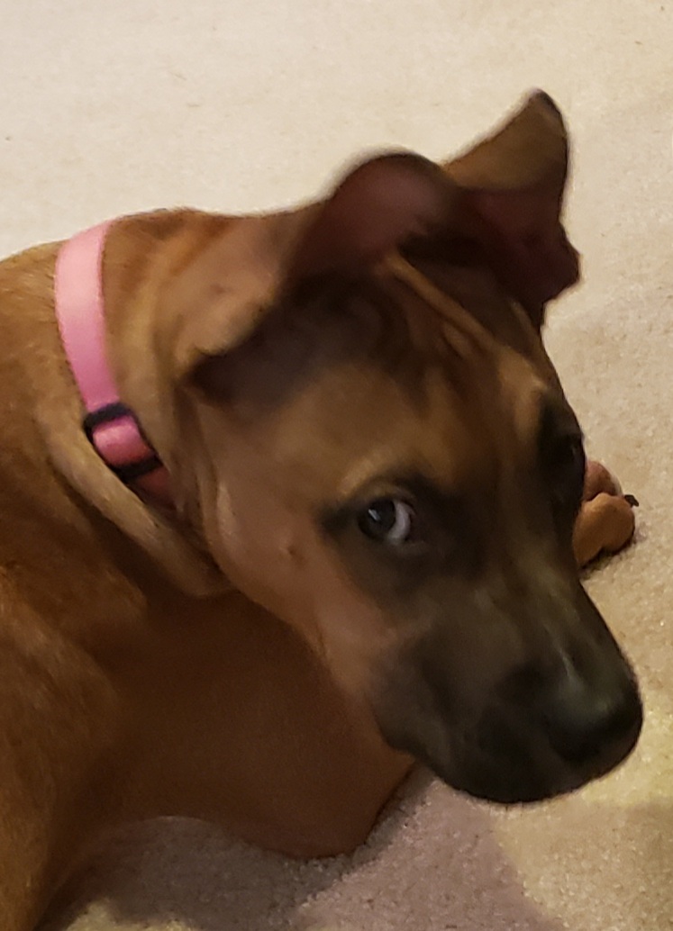 20211219_094928.jpg