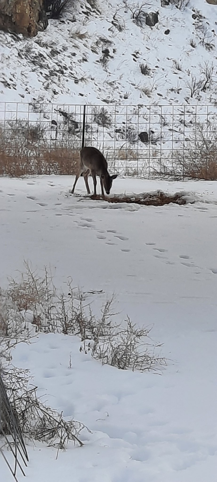 20220119_102633.jpg
