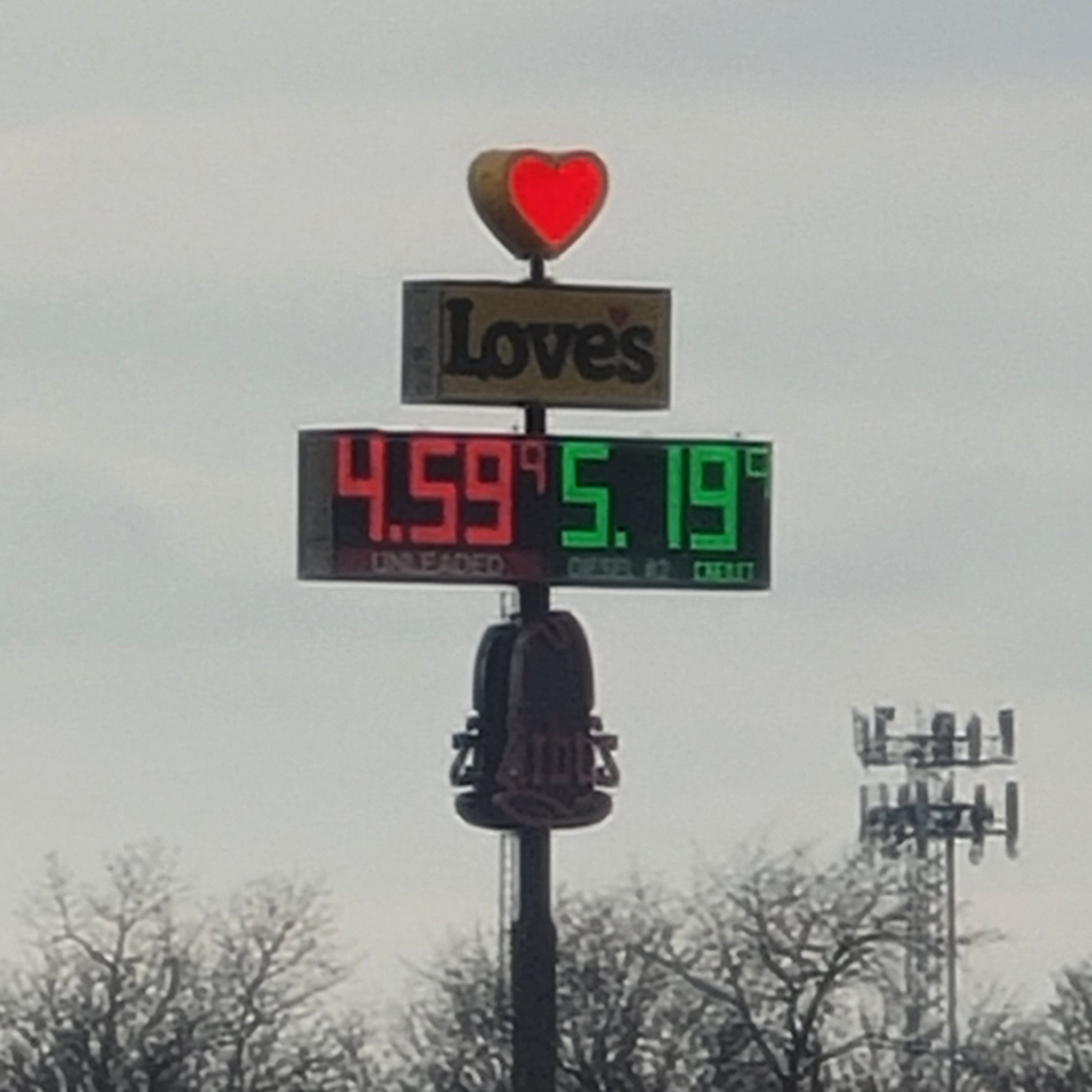 20220308_155534.jpg