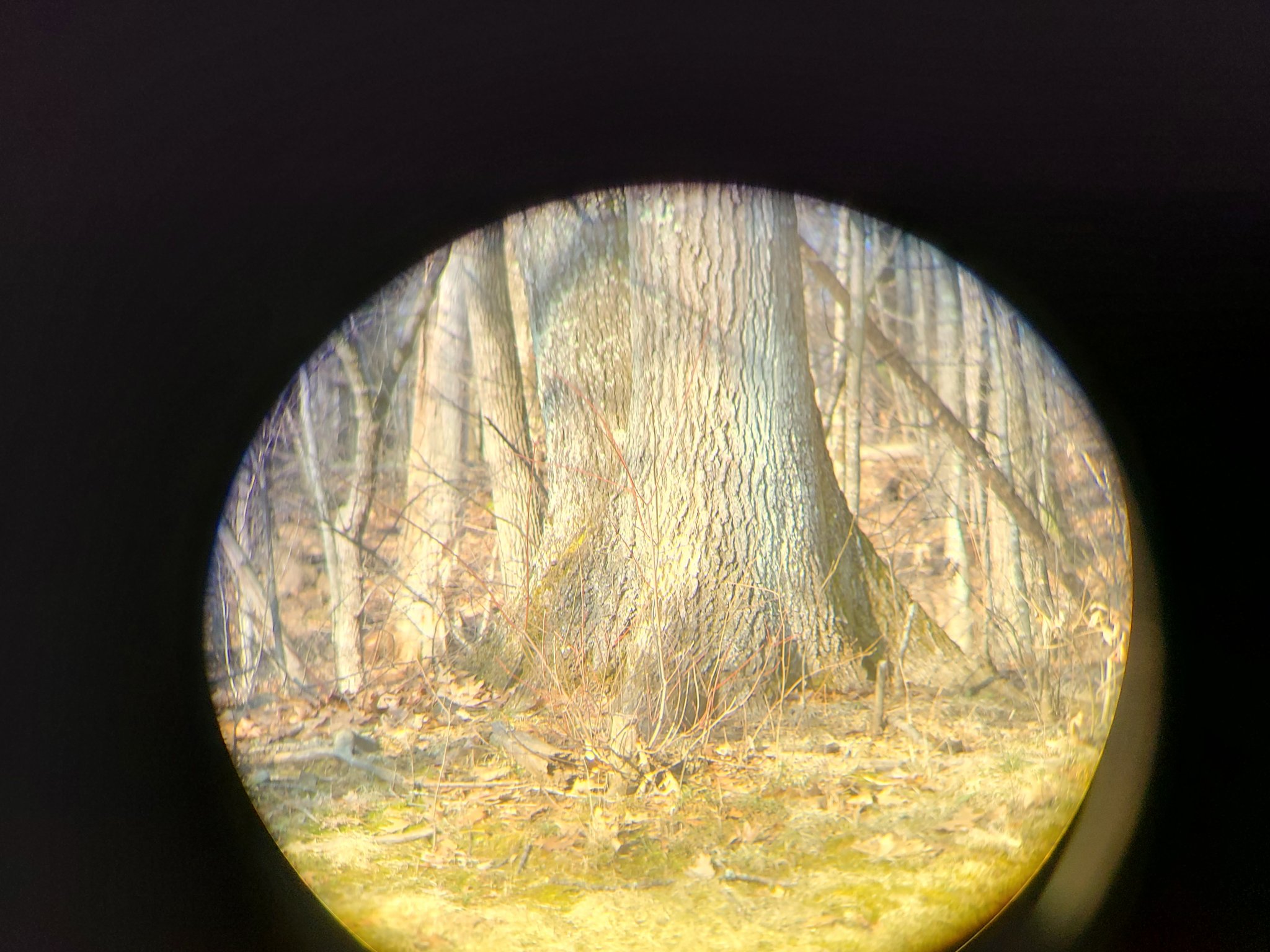 20220318_084222.jpg