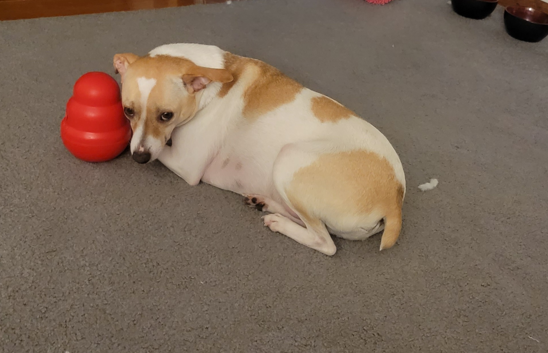 20220318_211833.jpg