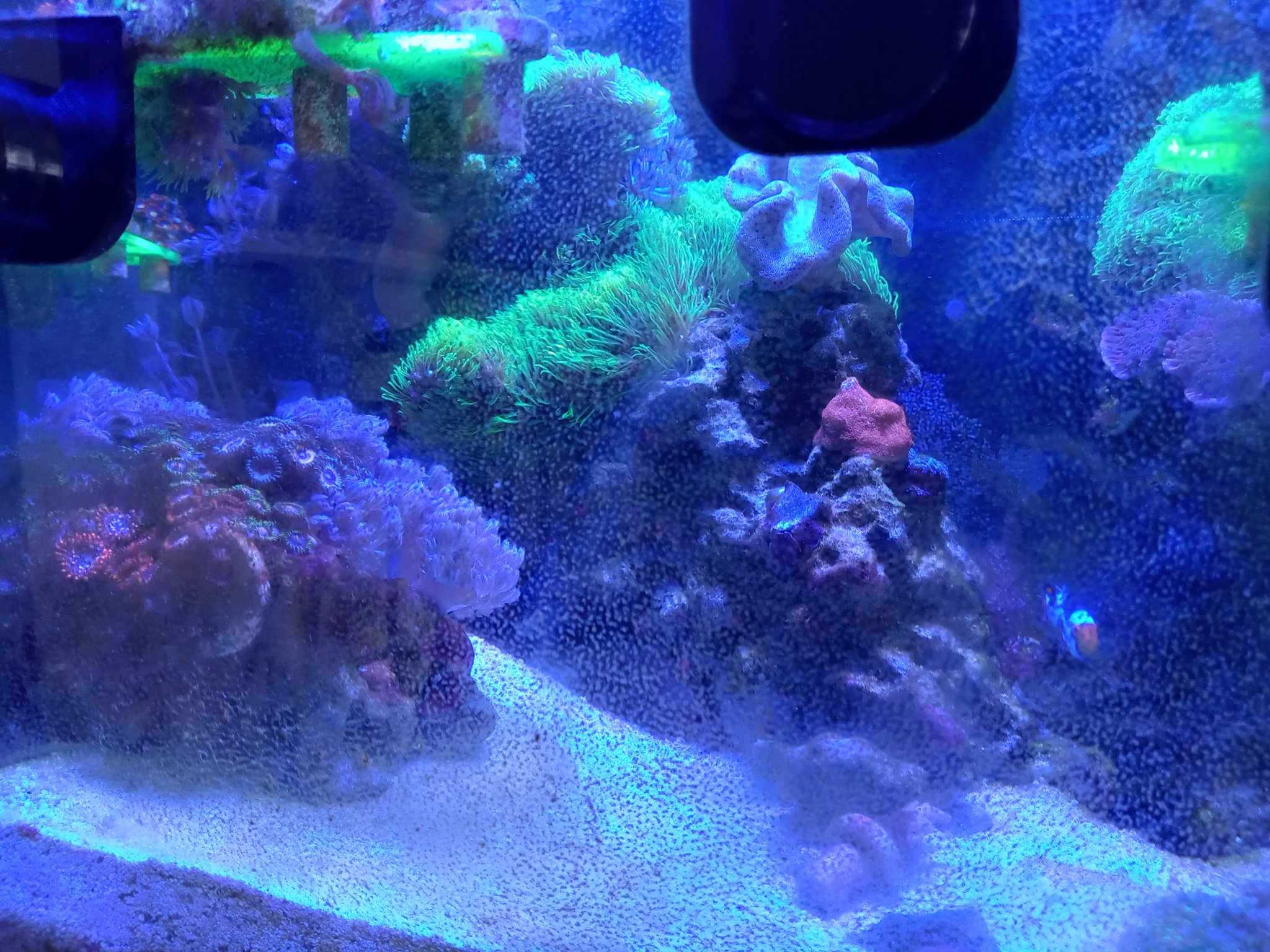 20220328_114456_HDR.jpg