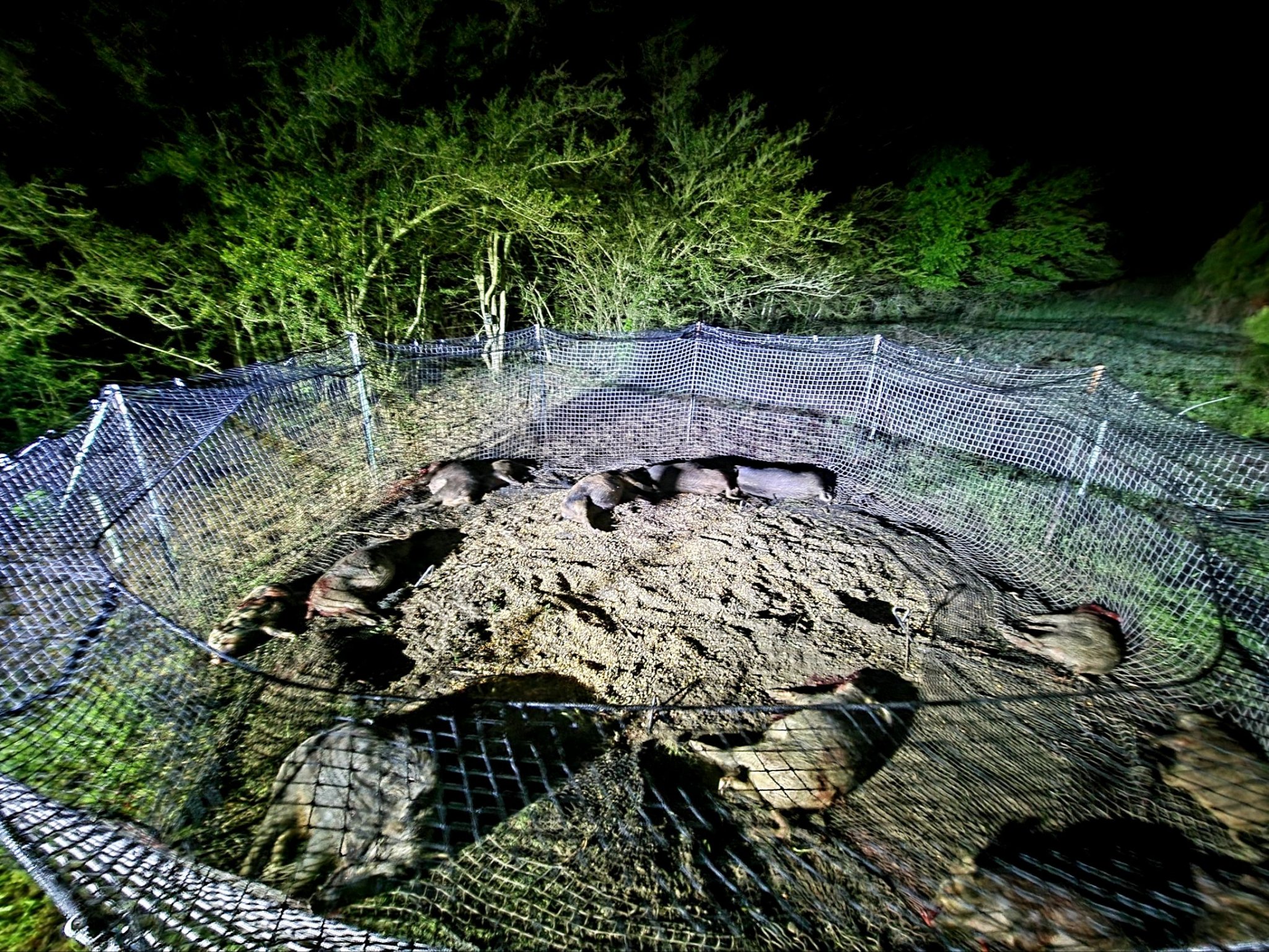 20220413_051559.jpg
