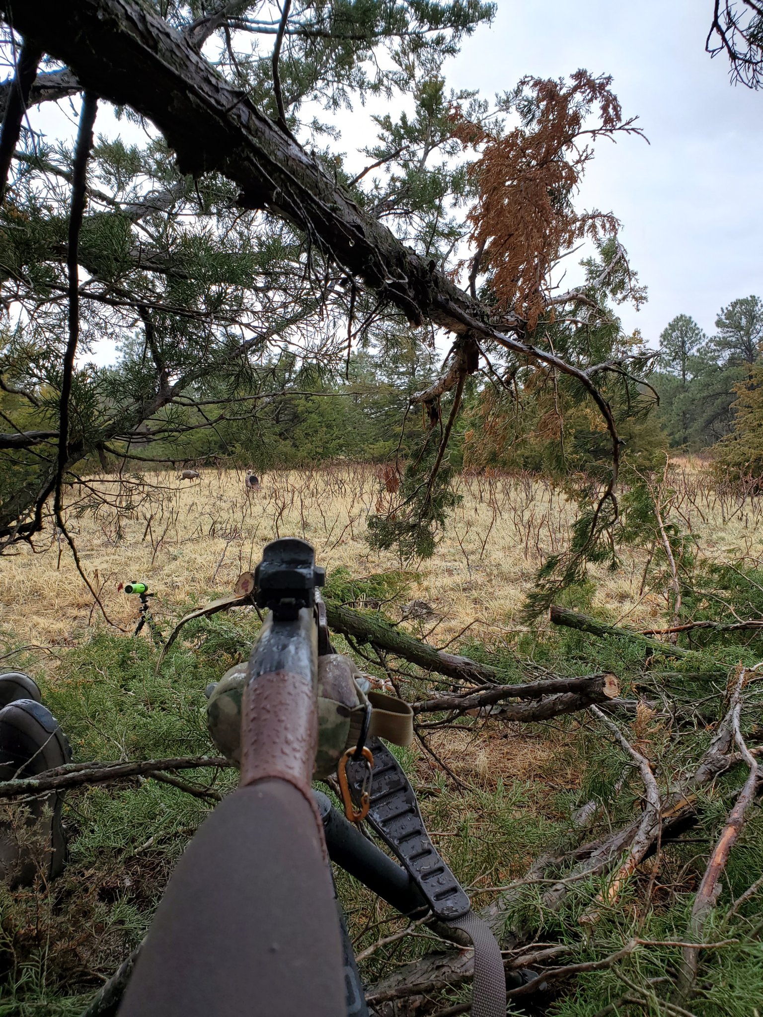 20220430_165319.jpg