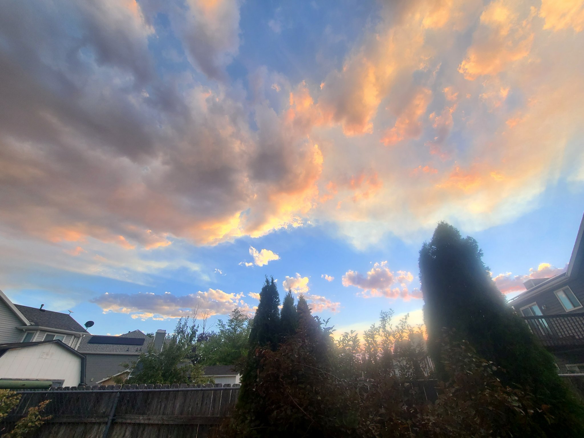 20220709_204527.jpg