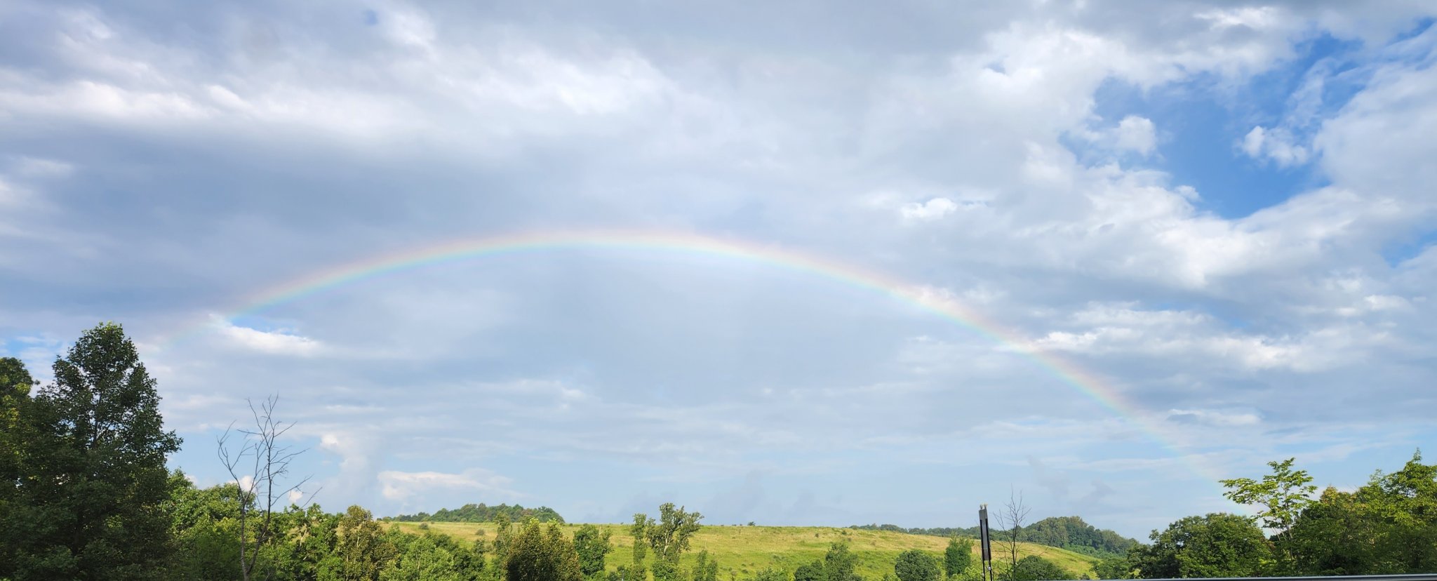 20220804_081339.jpg
