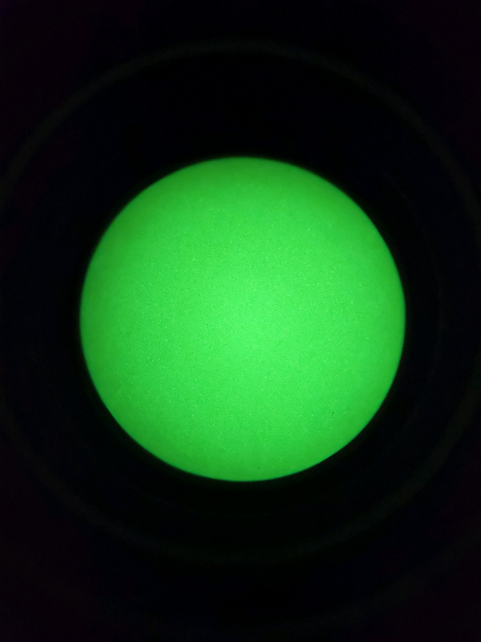 20220818_142650.jpg