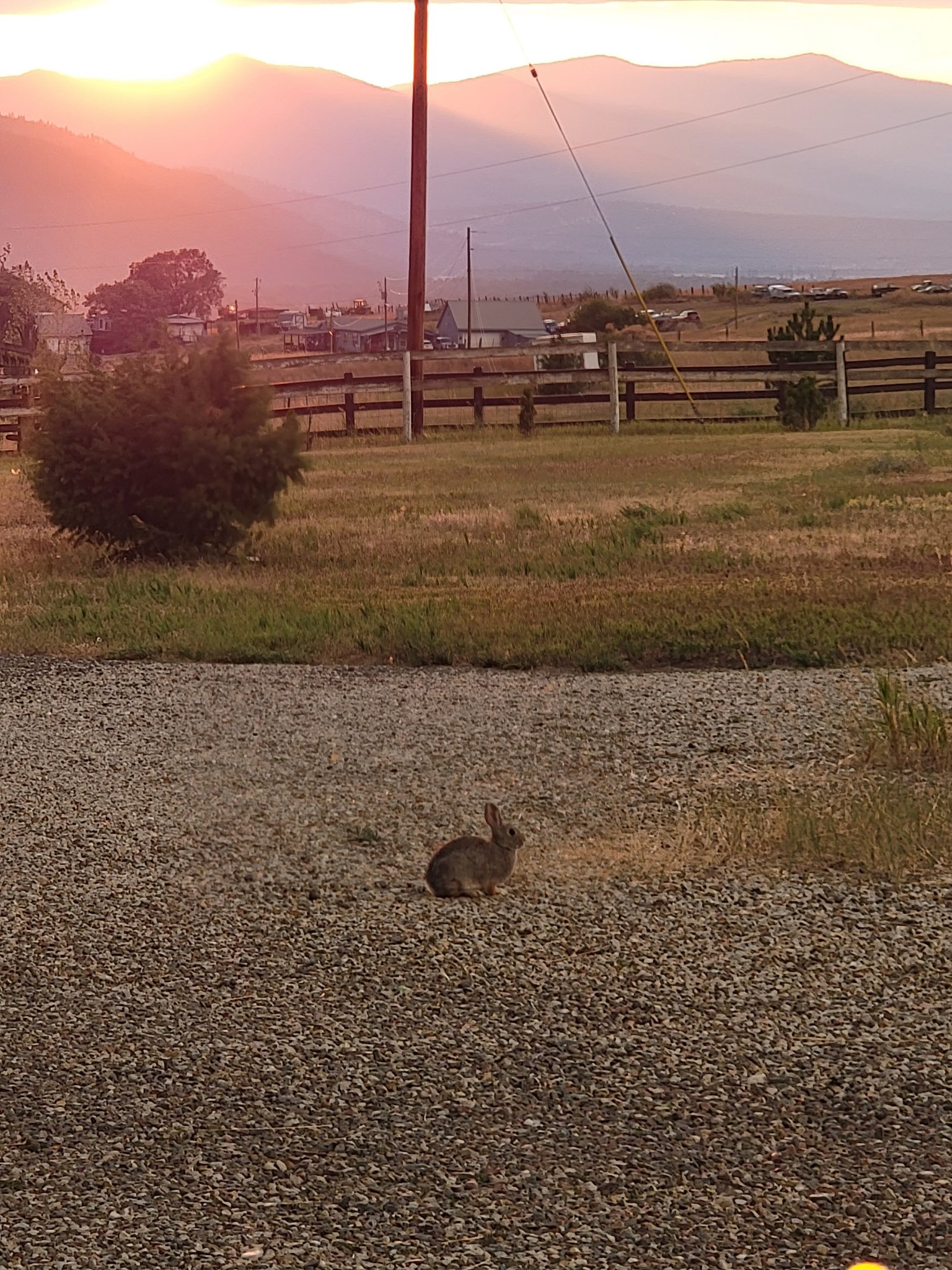 20220824_201319.jpg