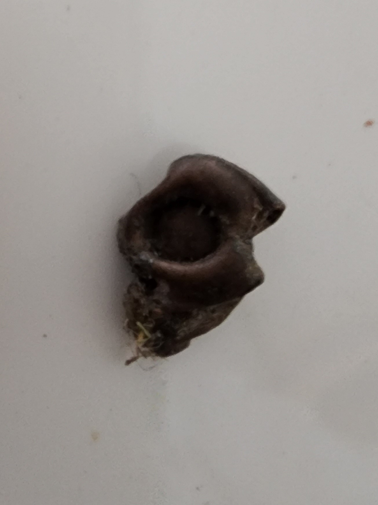 20220901_172132.jpg