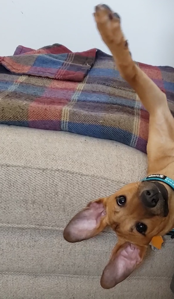 20220911_231113.jpg