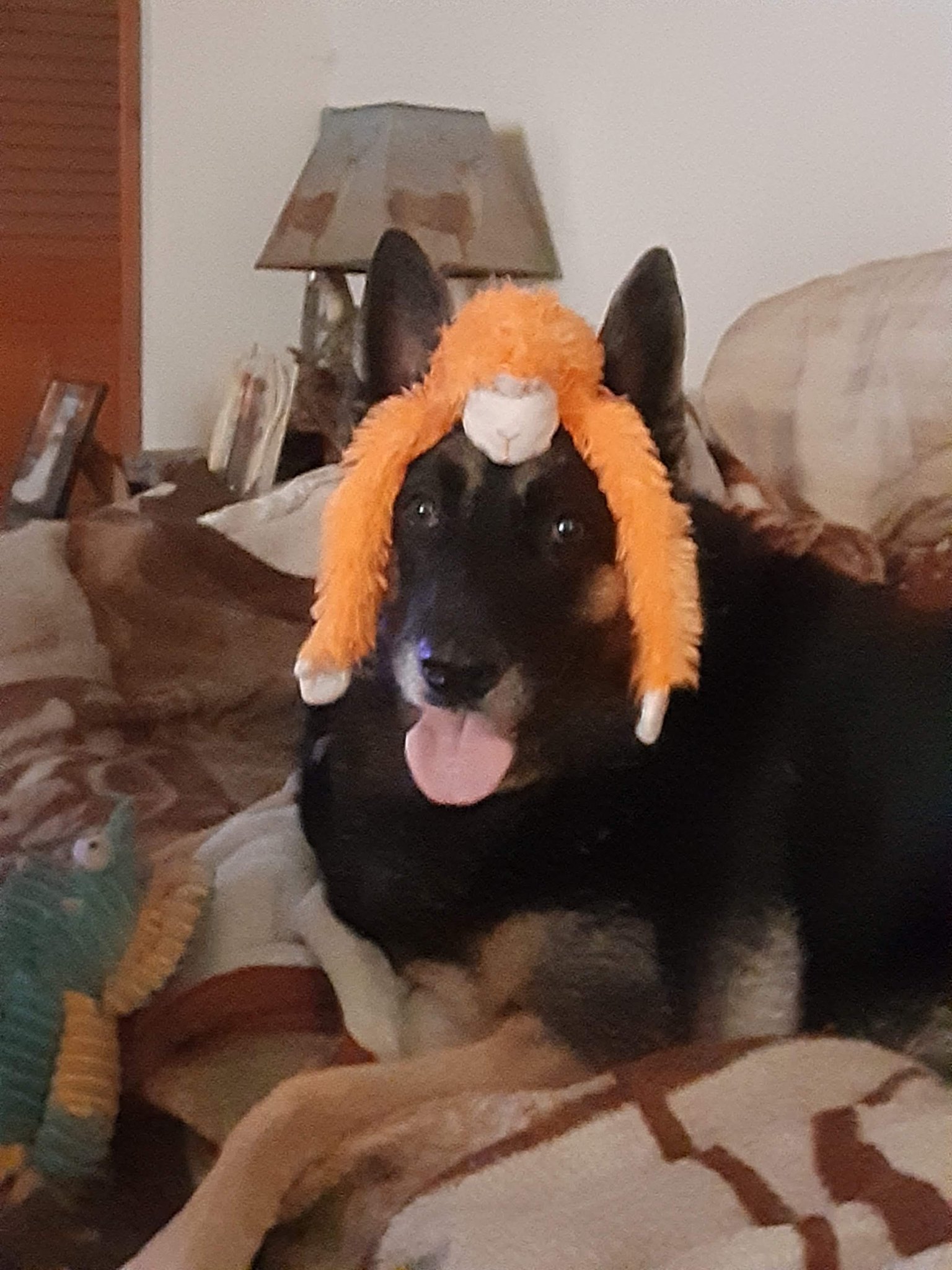 20220916_170723.jpg