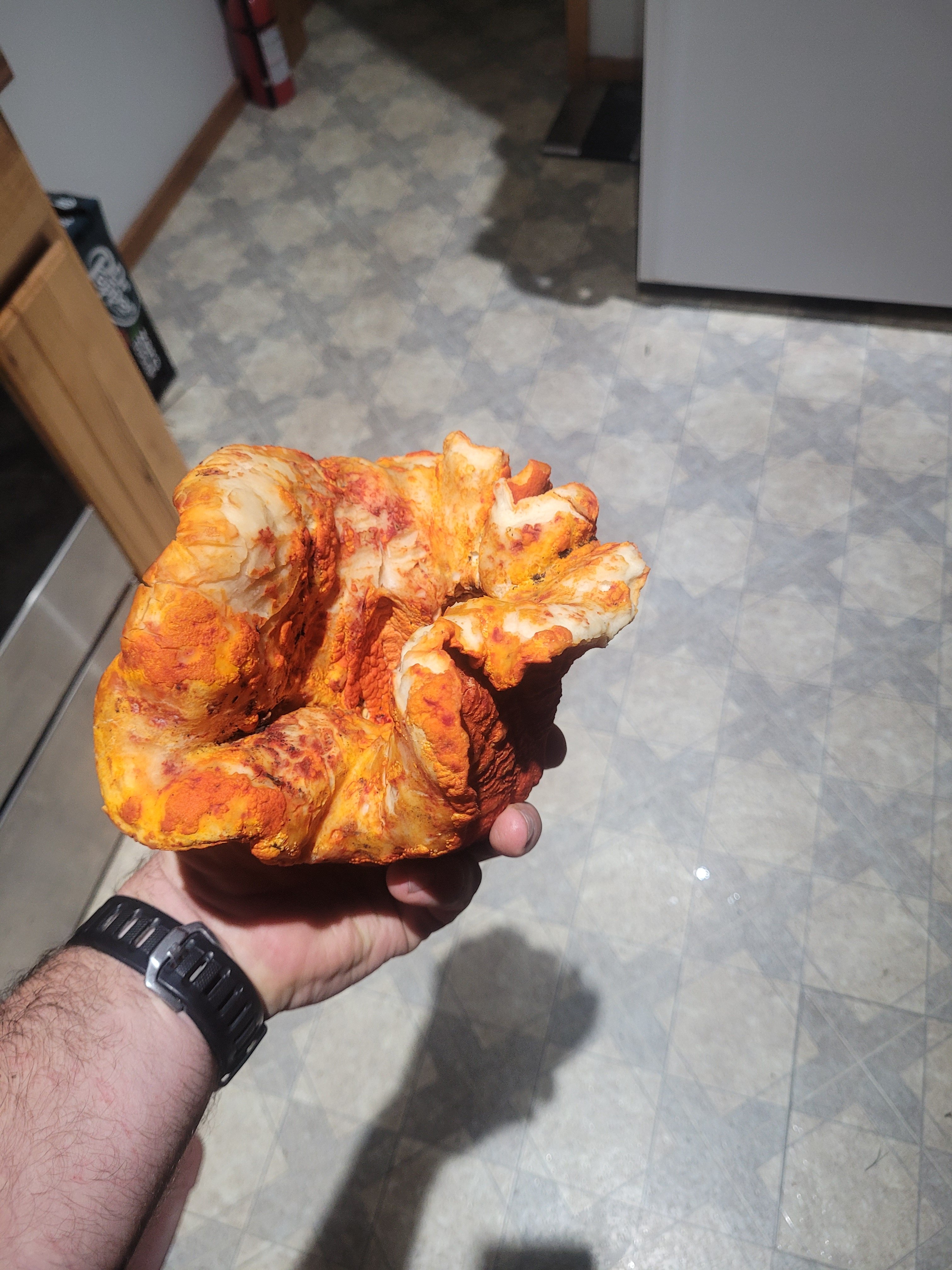 20220922_210646.jpg