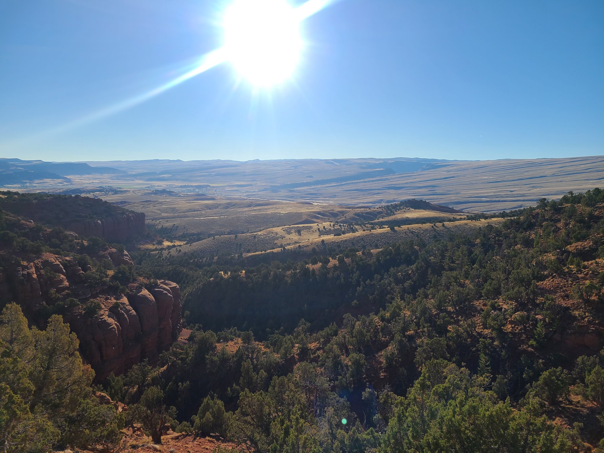 20221014_090459.jpg