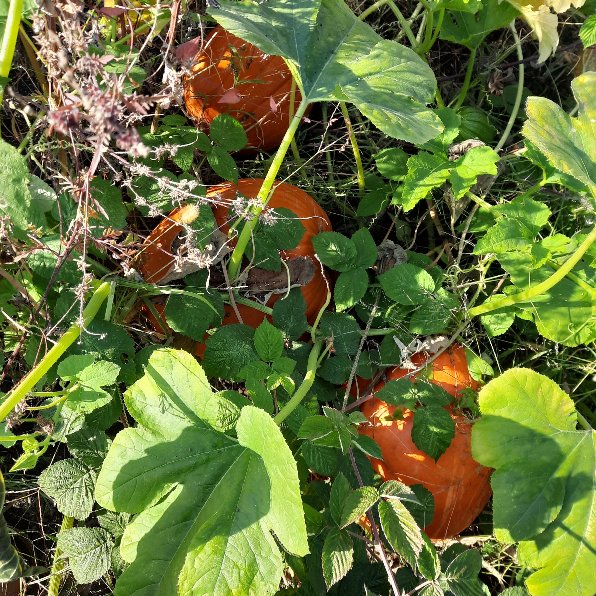 20221019_101609.jpg