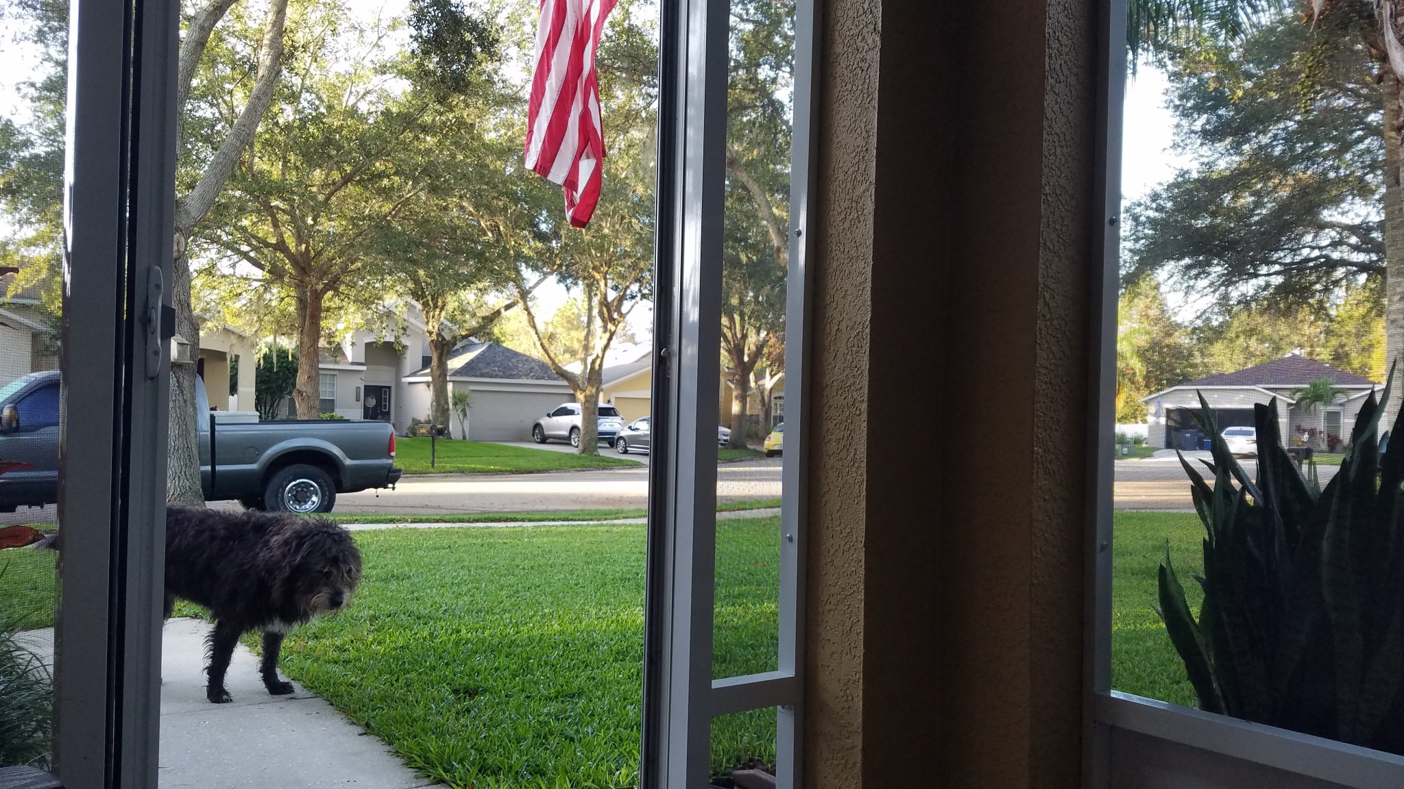 20221107_073306.jpg