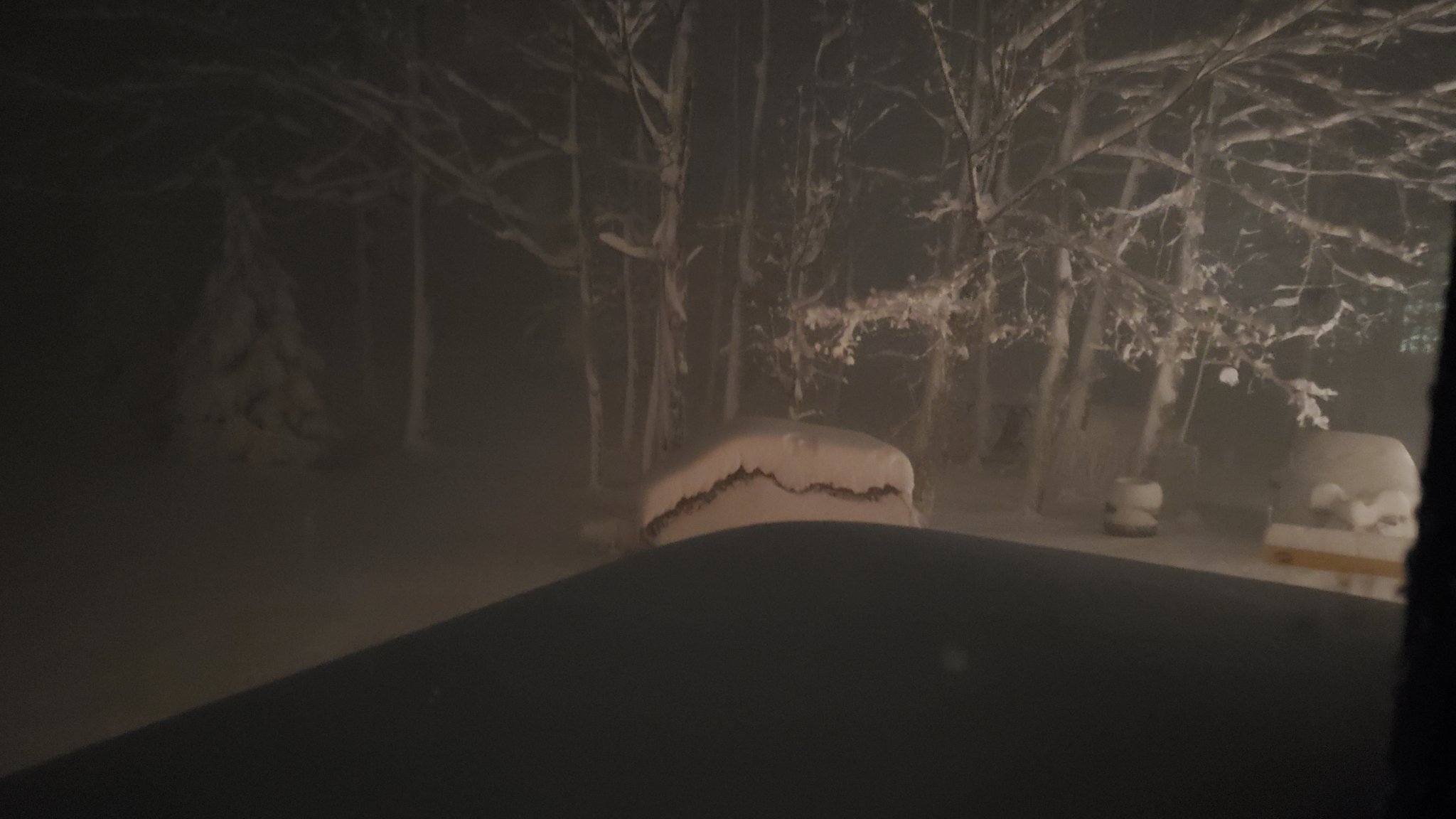 20221118_044554.jpg