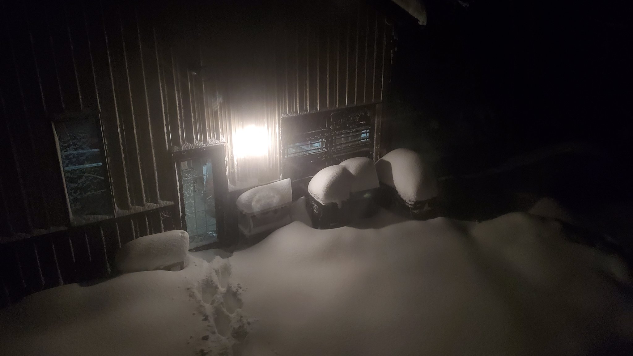 20221118_050538.jpg