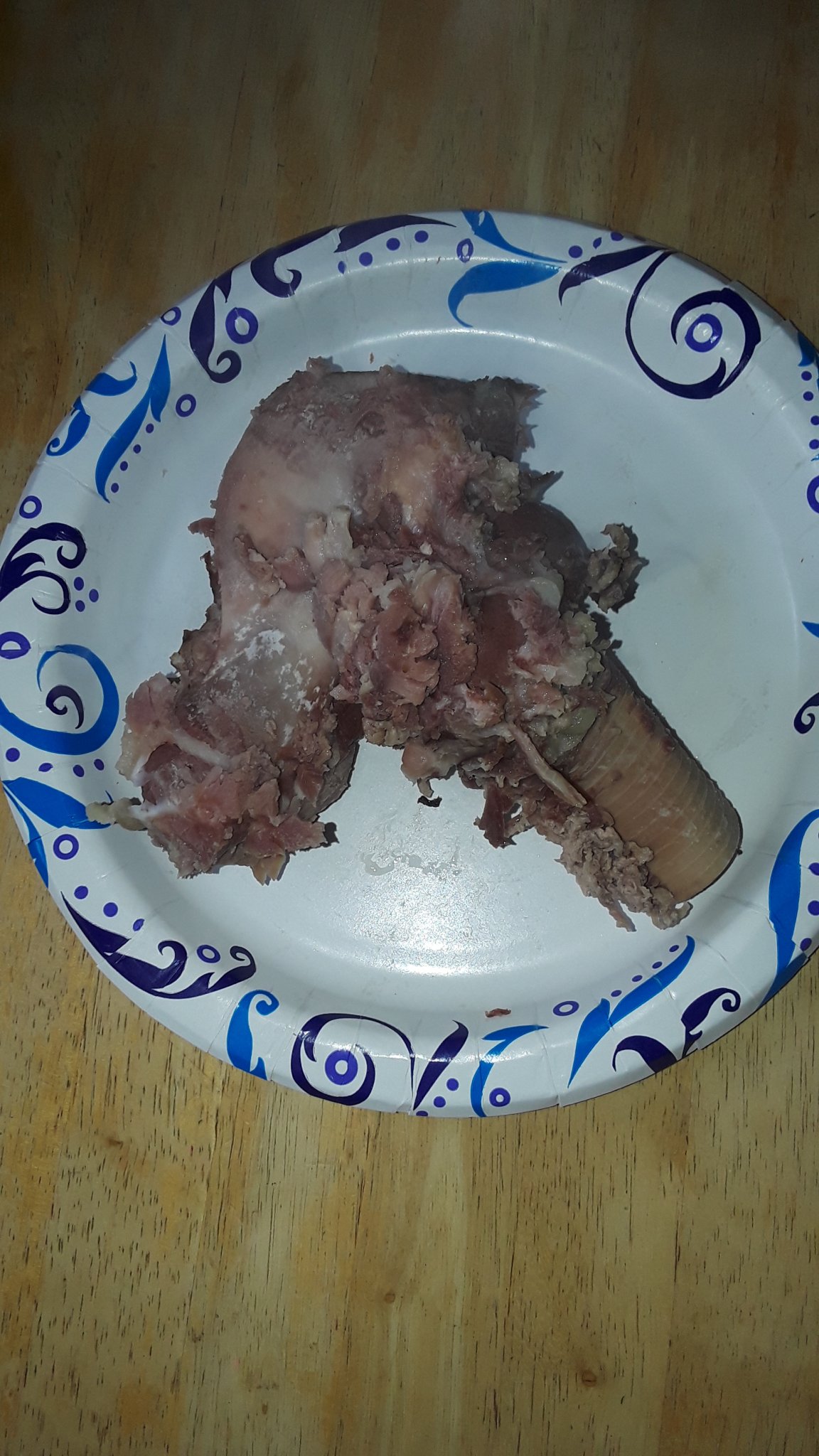 20221118_123250.jpg