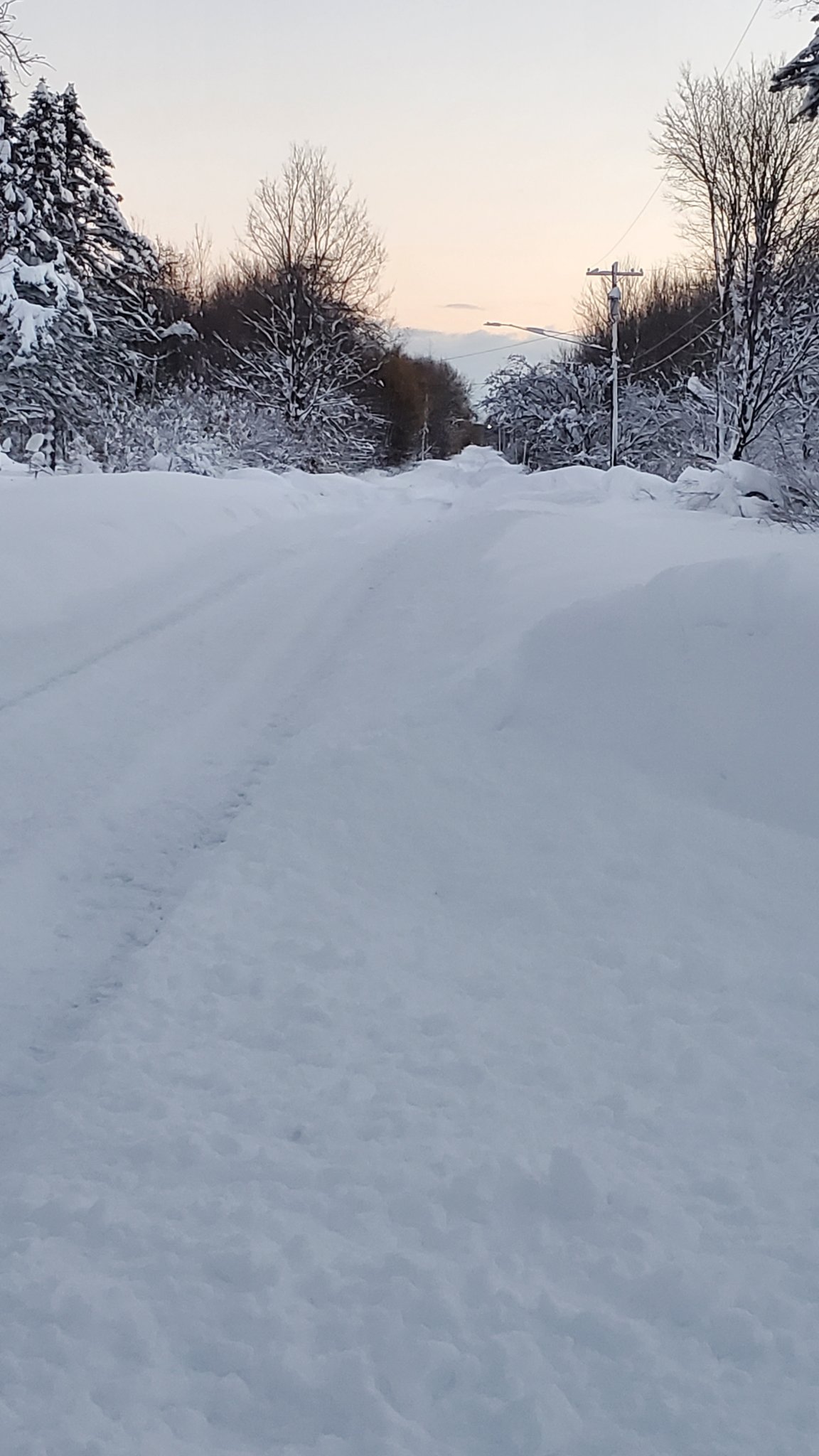 20221119_070326.jpg