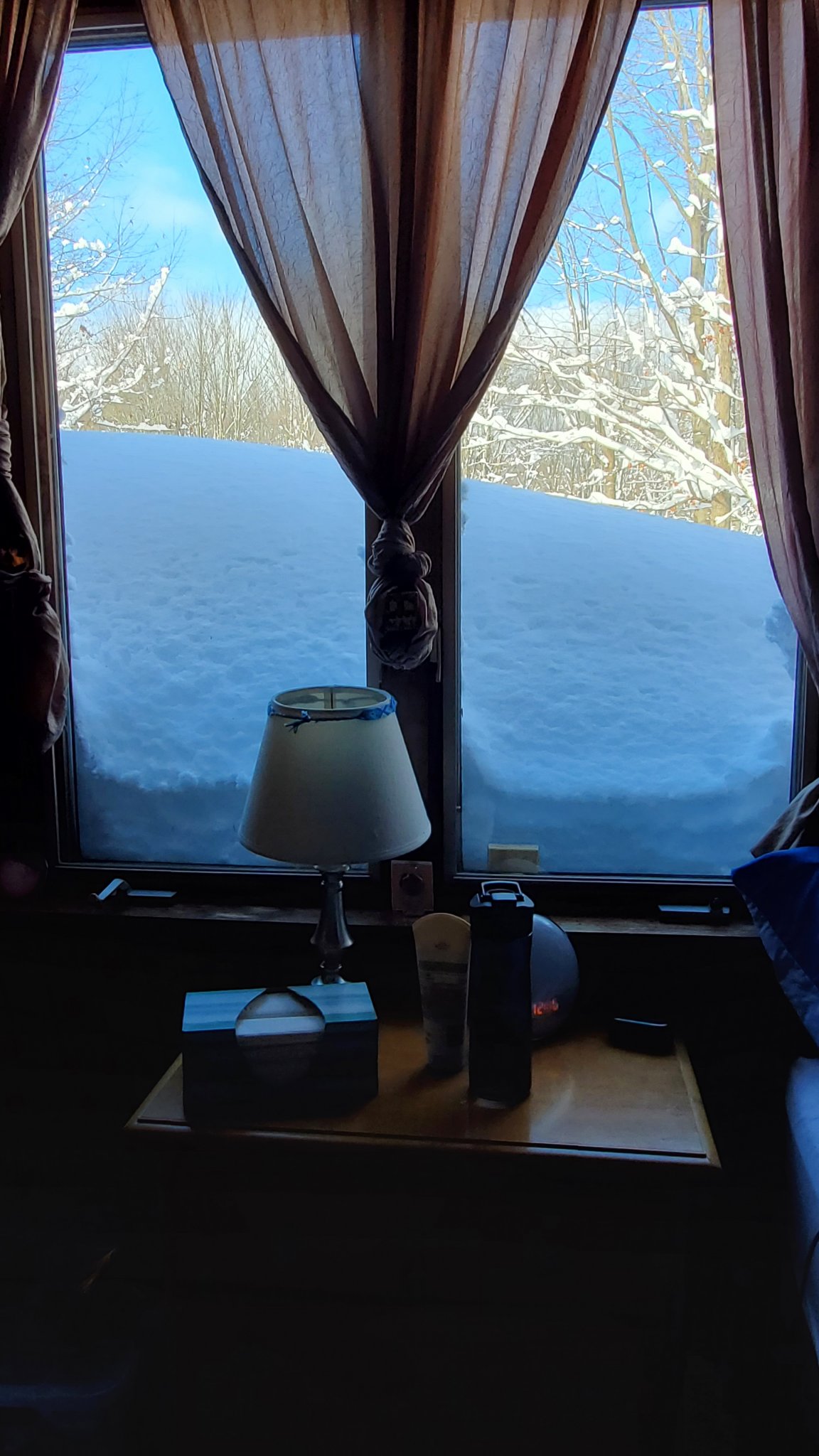20221119_105608.jpg