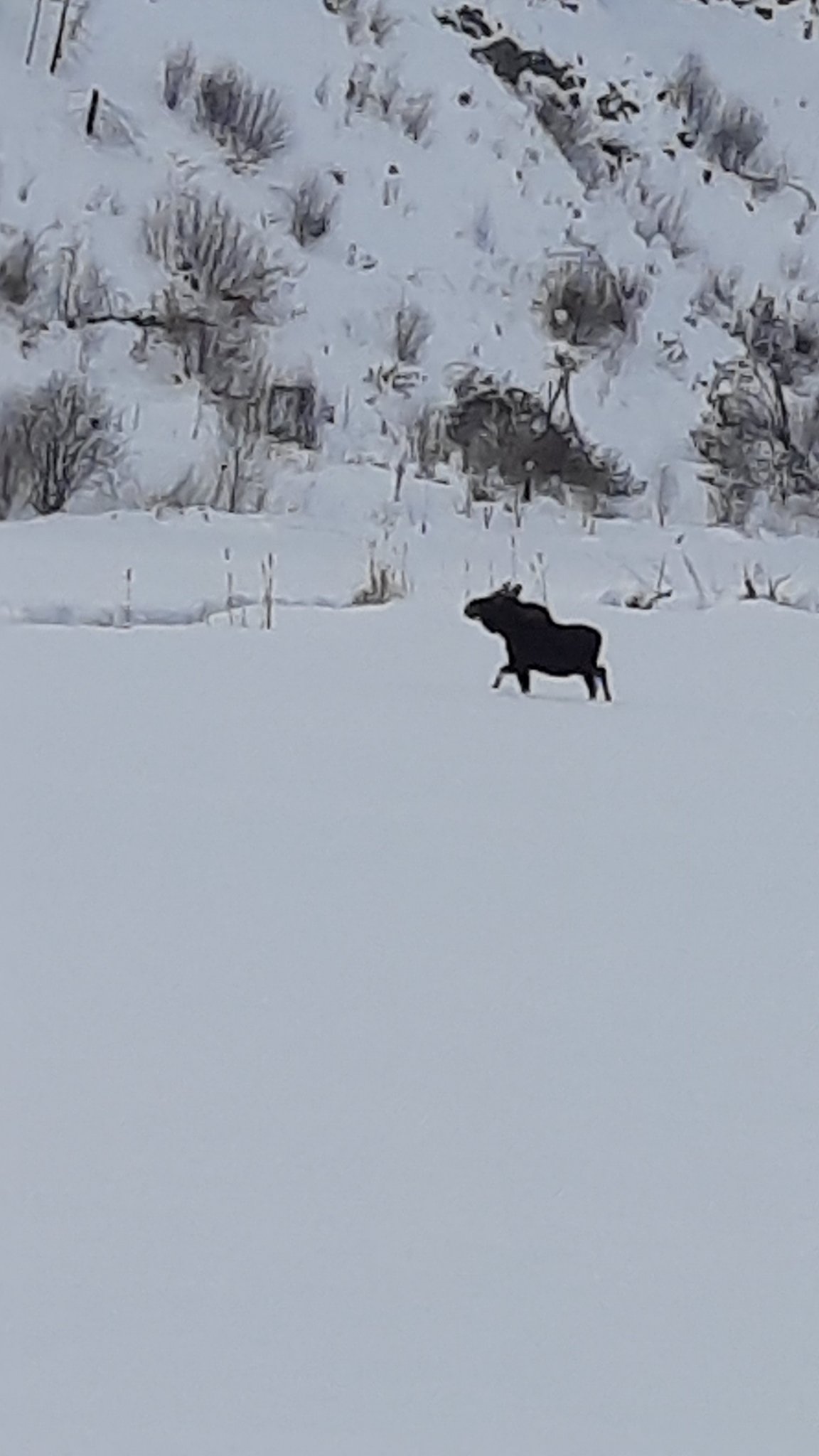 20221203_090907.jpg