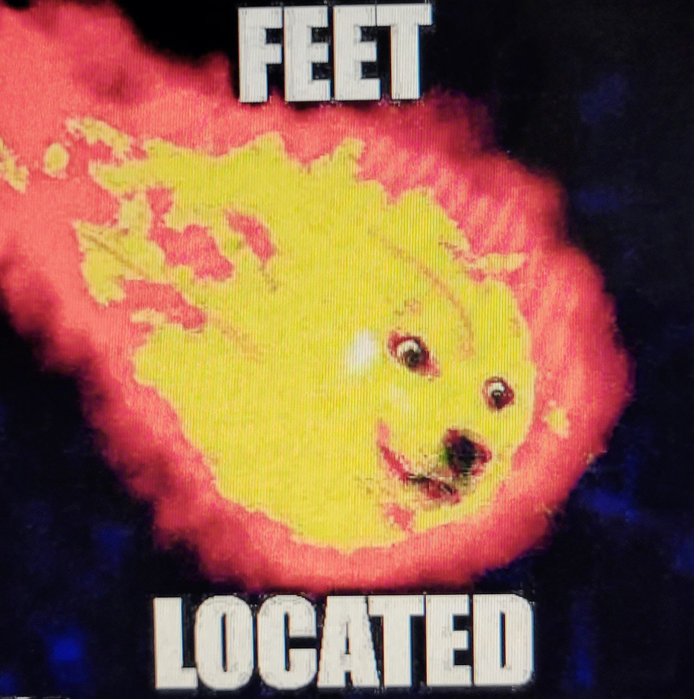 20221209_190408.jpg